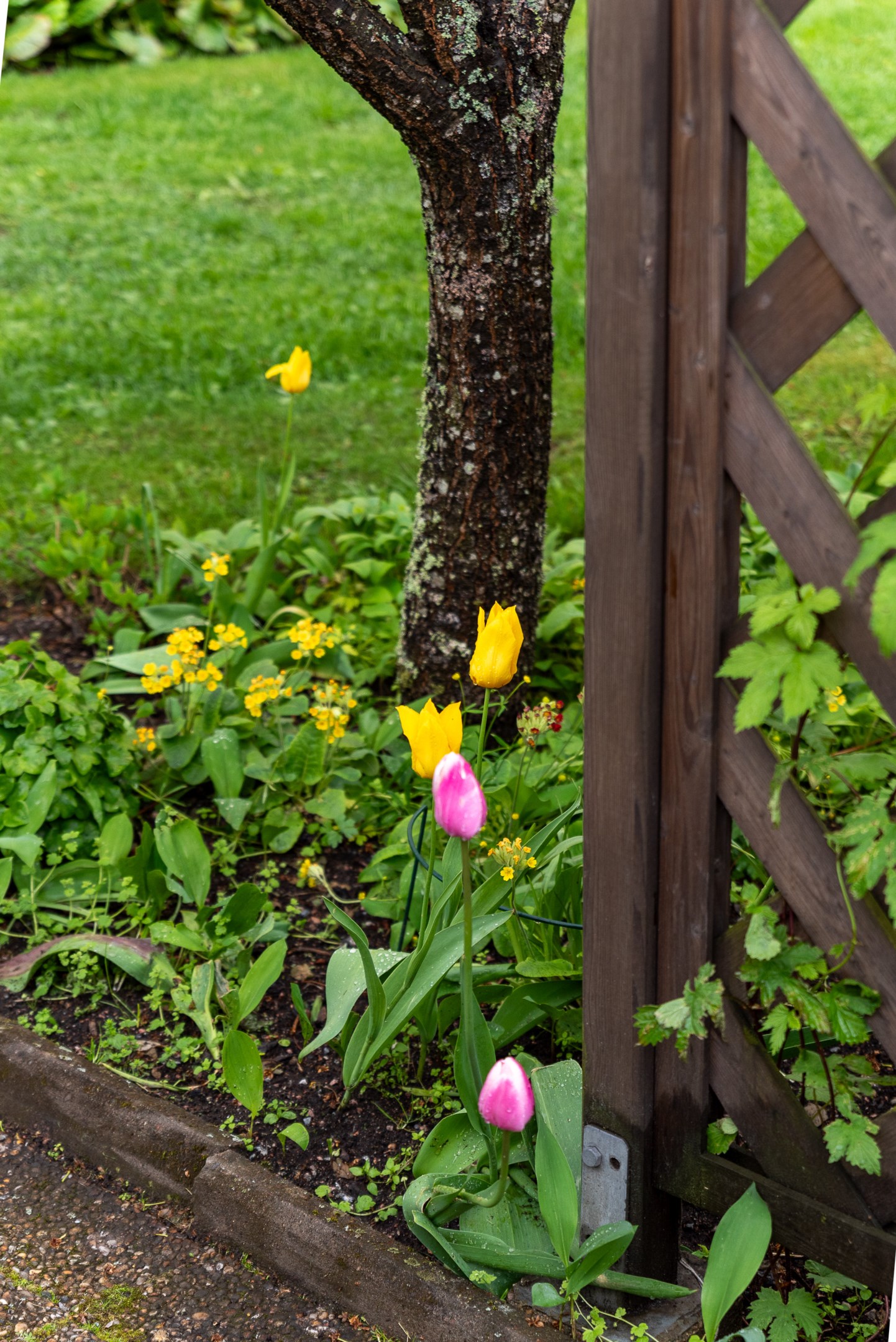 Bostadsbild från Skyttegatan 5, Såld i Haga, Västerås