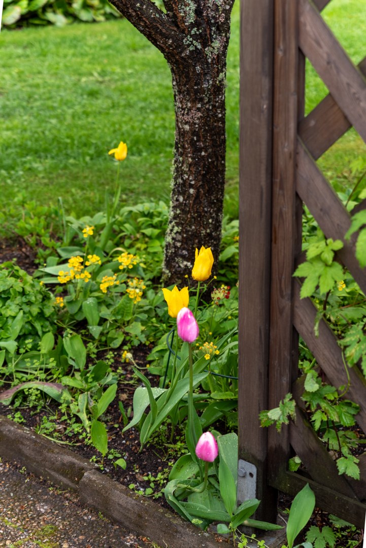 Bostadsbild från Skyttegatan 5, Såld i Haga, Västerås