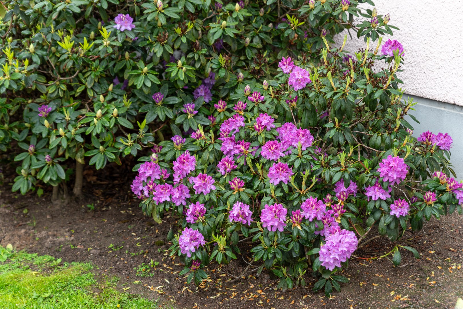 Bostadsbild från Knotavägen 18, Såld i Bjurhovda, Västerås