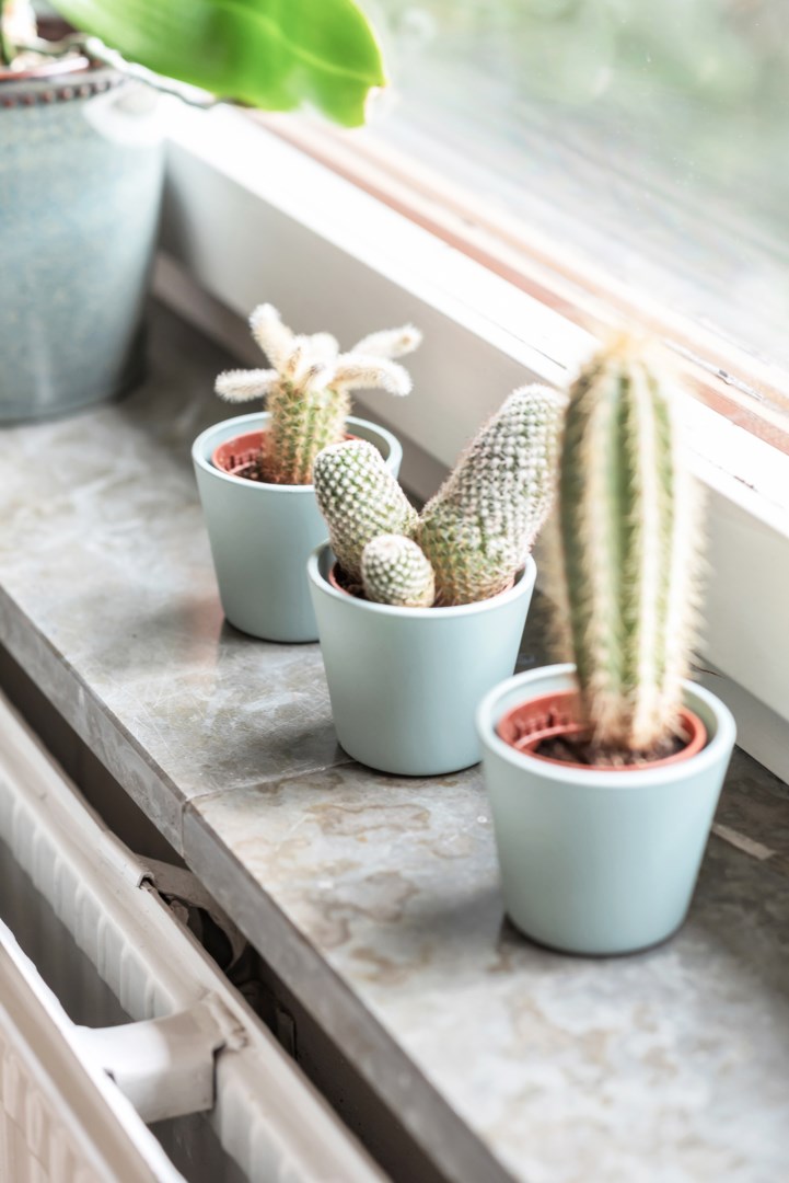 Bostadsbild från Storgatan 18B, Kommande i Höganäs, Uppsala