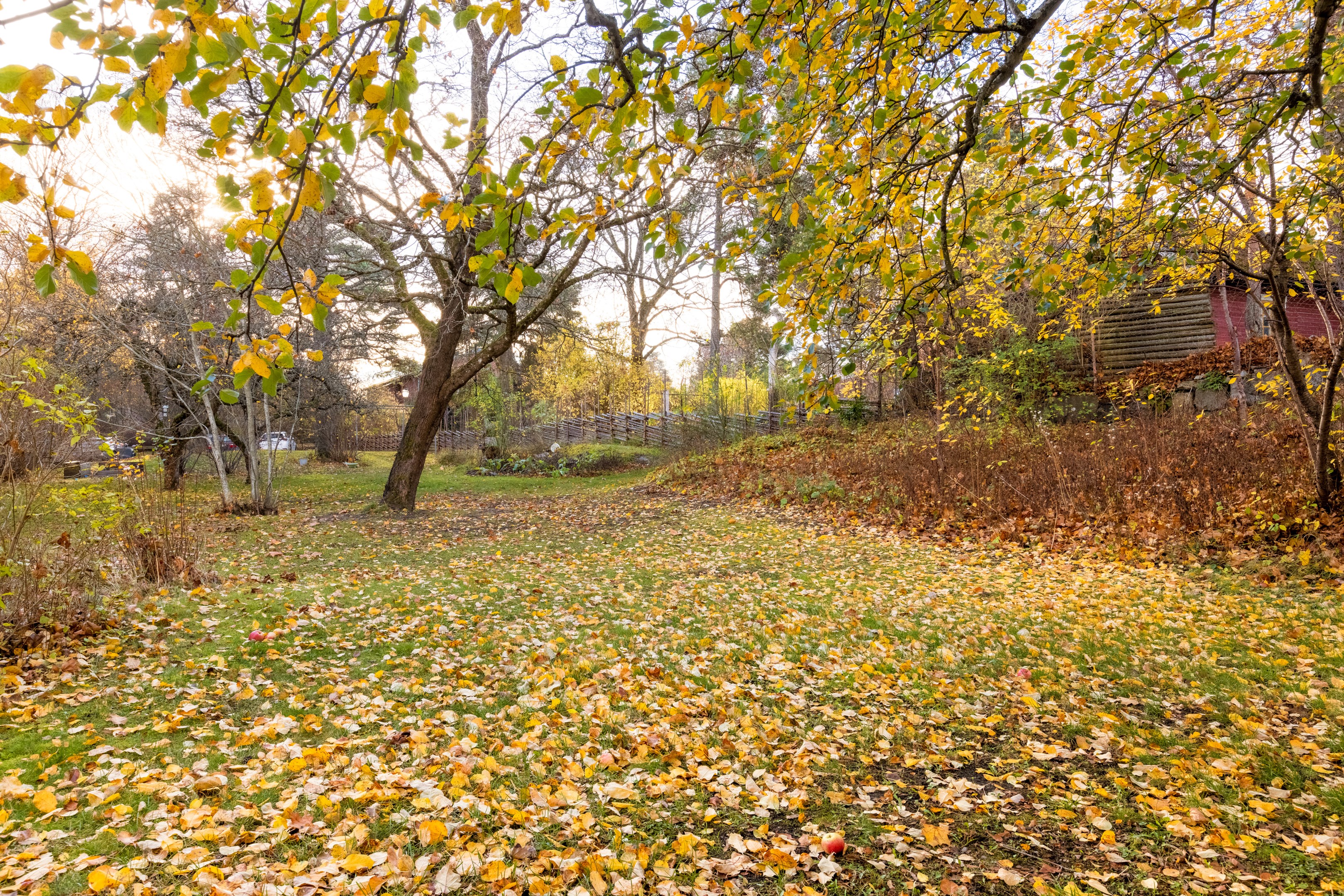 Bostadsbild från Karlsrogatan 81, Kommande i Sommarro, Uppsala