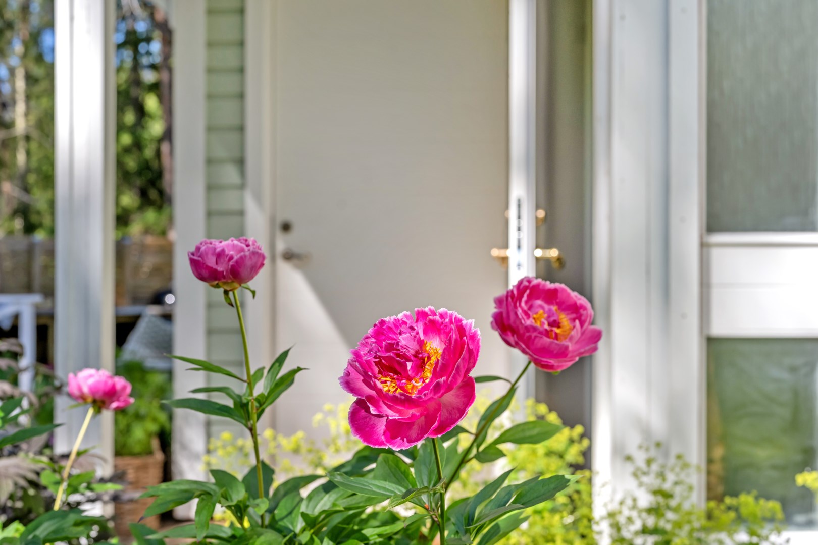 Bostadsbild från Eksoppsvägen 66, Kommande i Norby, Uppsala