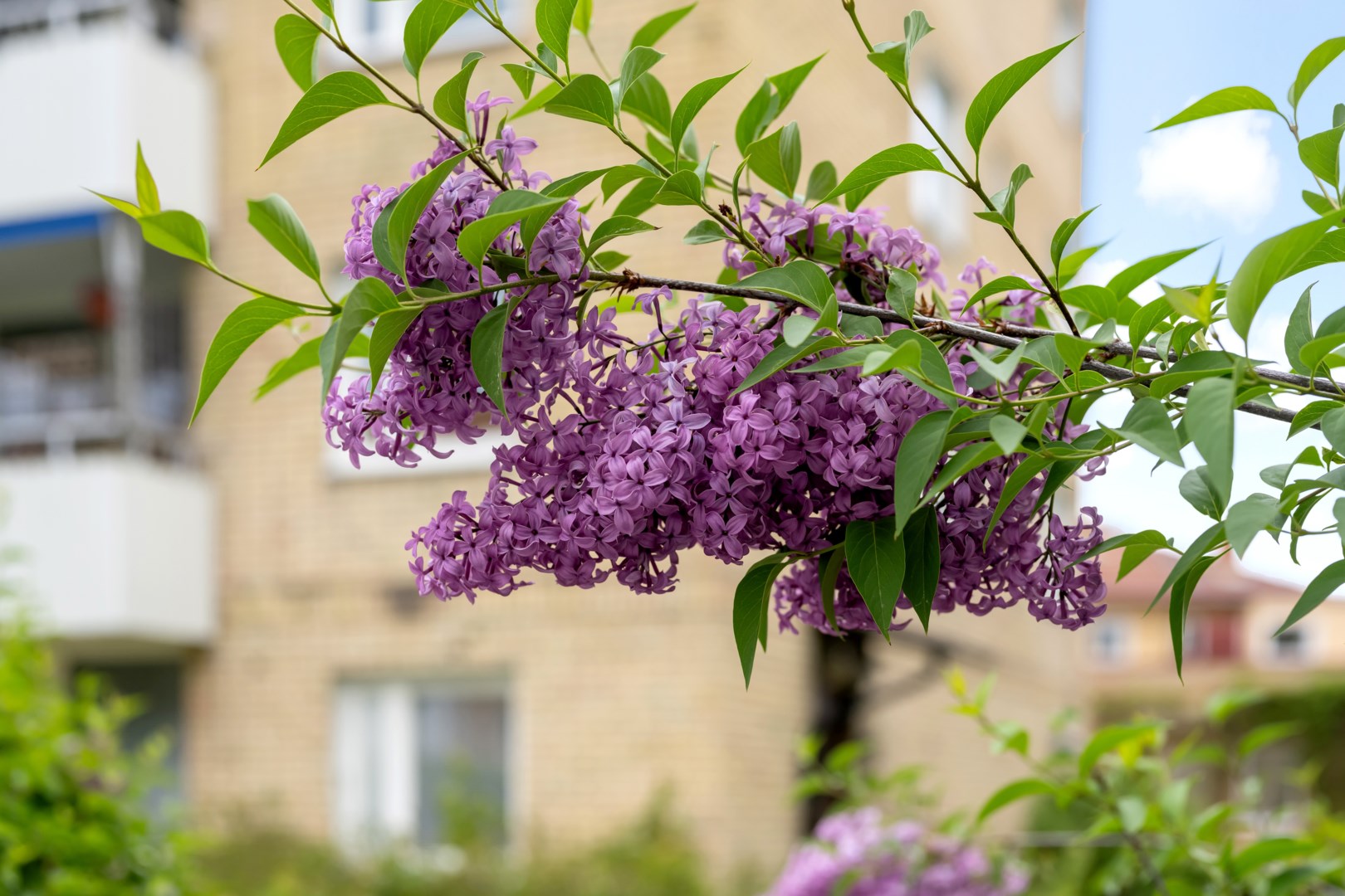 Bostadsbild från Ringgatan 37C, Såld i Luthagen, Uppsala