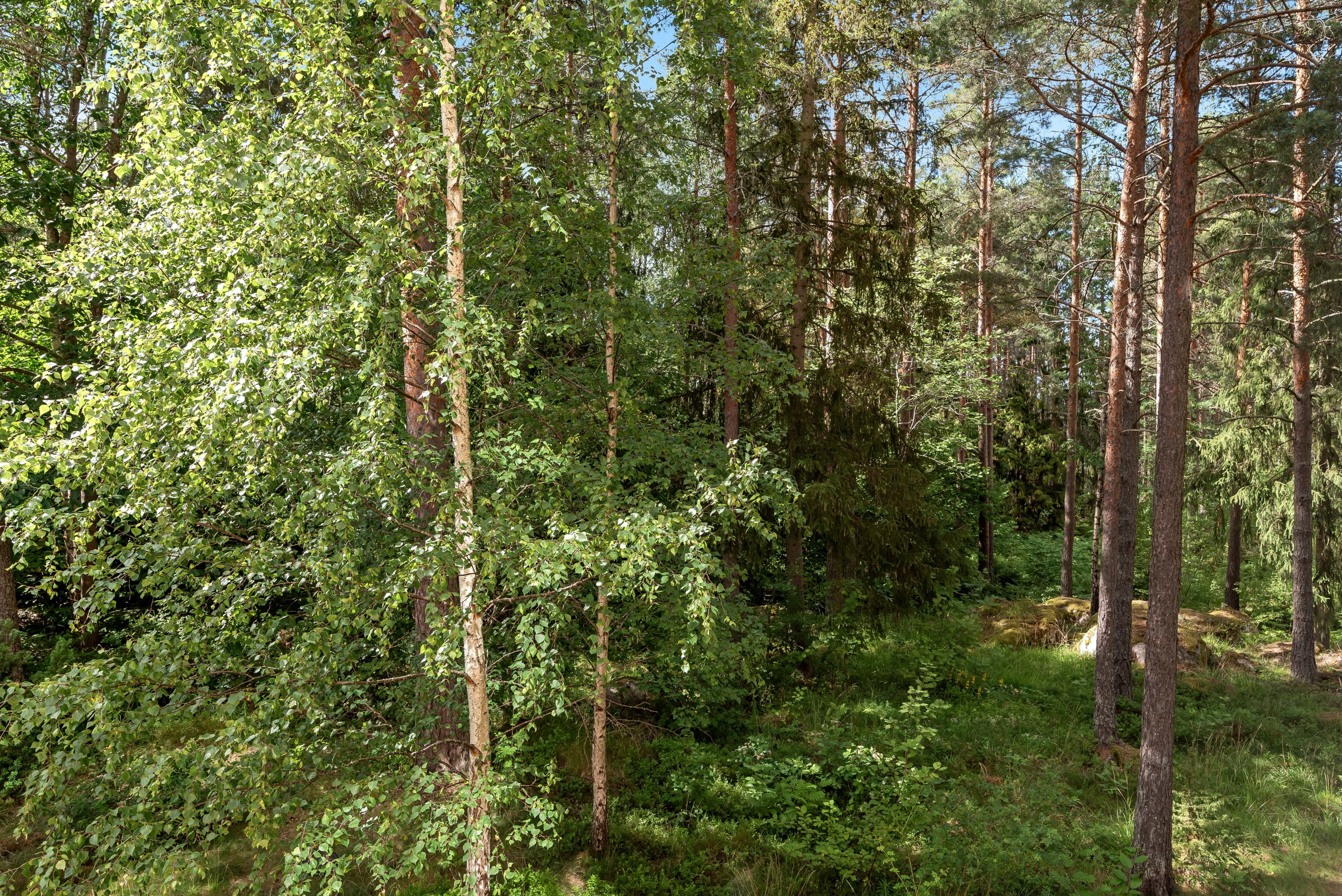 Bostadsbild från Stenbrohultsvägen 111, Såld i Sävja, Uppsala