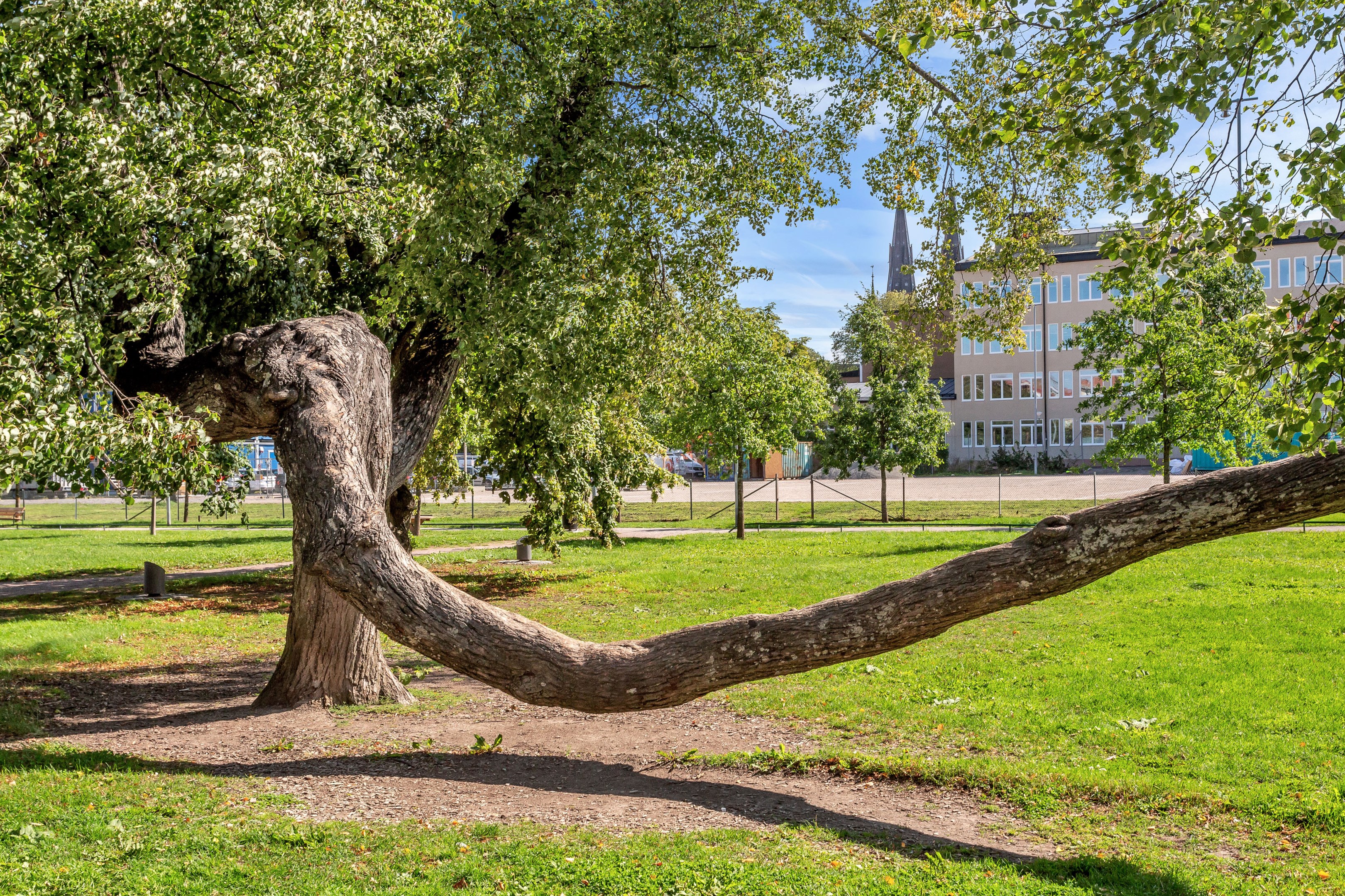 Bostadsbild från Sysslomansgatan 28, Kommande i Luthagen, Uppsala