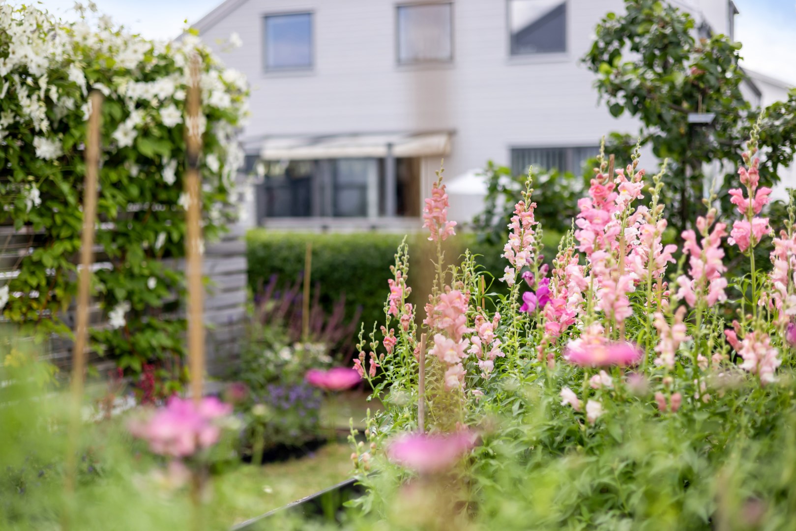Bostadsbild från Storstensvägen 38, Kommande i Lindbacken, Uppsala