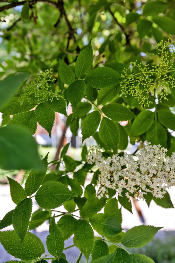 Bostadsbild från Folkungagatan 12B, Såld i Svartbäcken, Uppsala