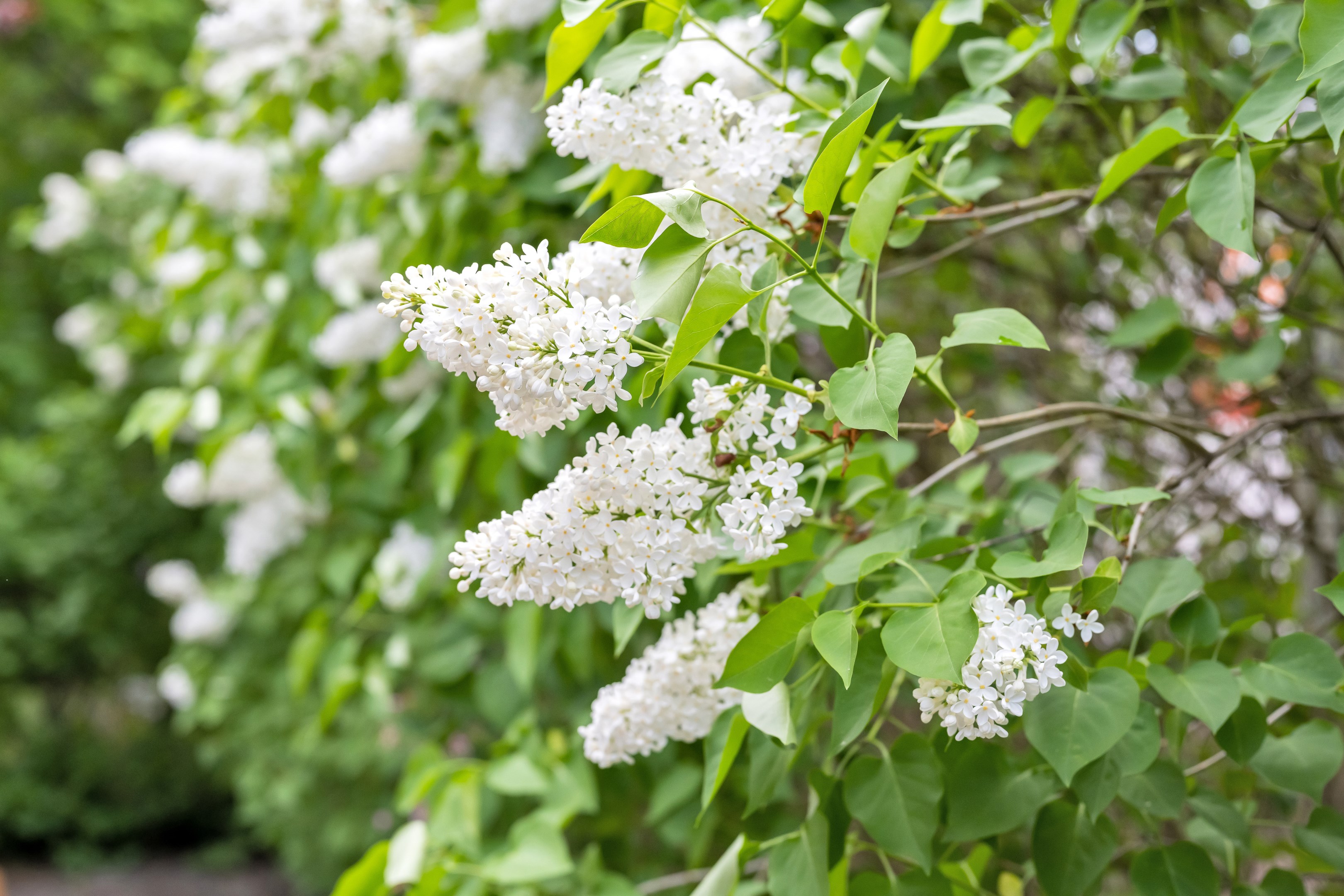 Bostadsbild från Blixtgatan 12, Såld i Gränby, Uppsala
