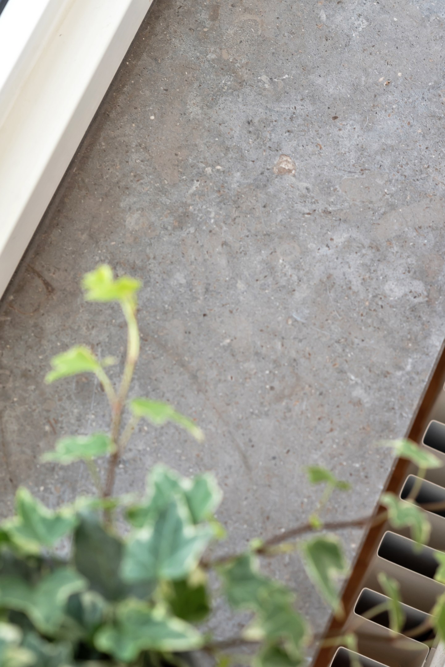 Bostadsbild från Bäcklösavägen 1, Såld i Ultuna, Uppsala