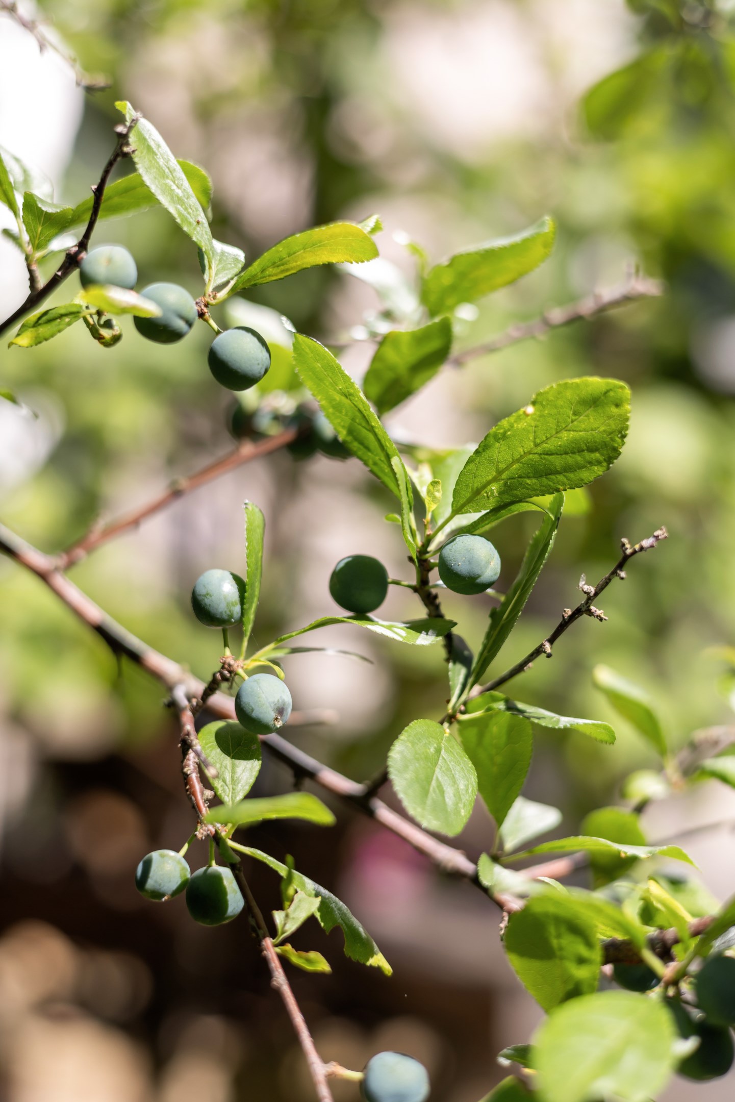Bostadsbild från Eksätravägen 116, Kommande i Södra Gottsunda, Uppsala