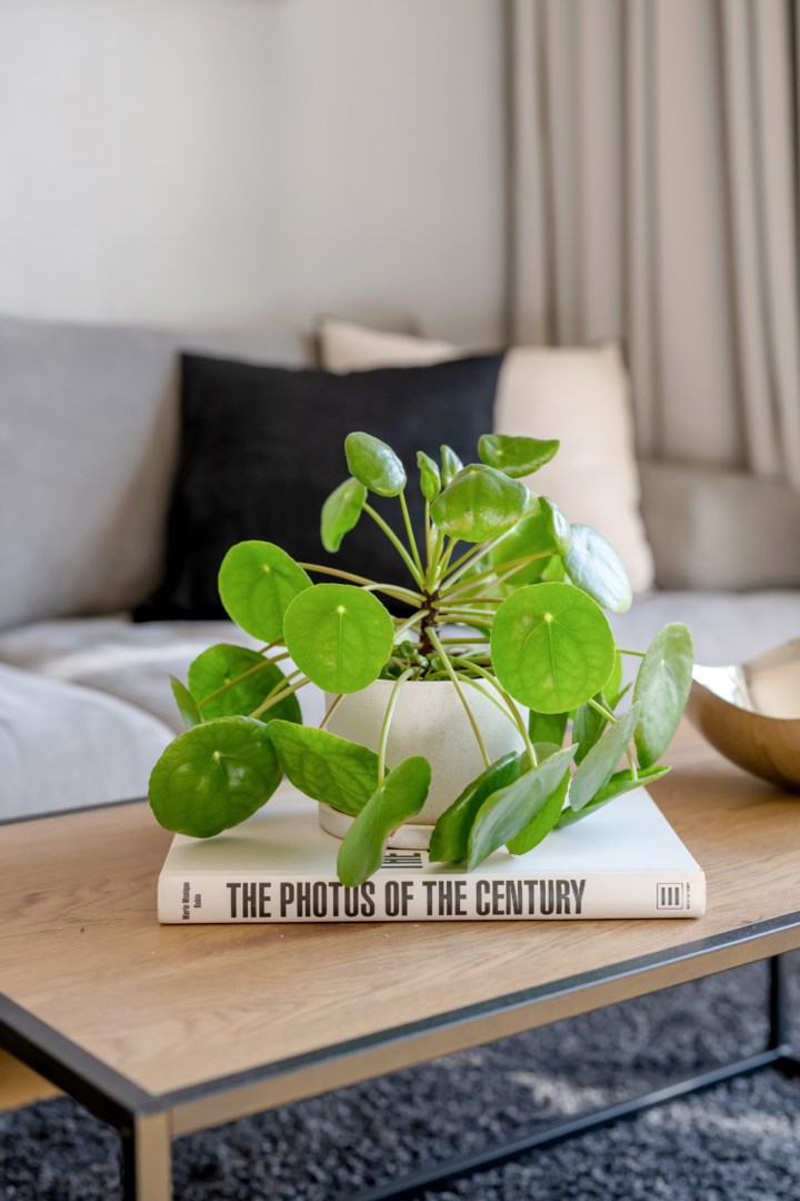 Bostadsbild från Vaksalagatan 44 B, Kommande i Höganäs, Uppsala