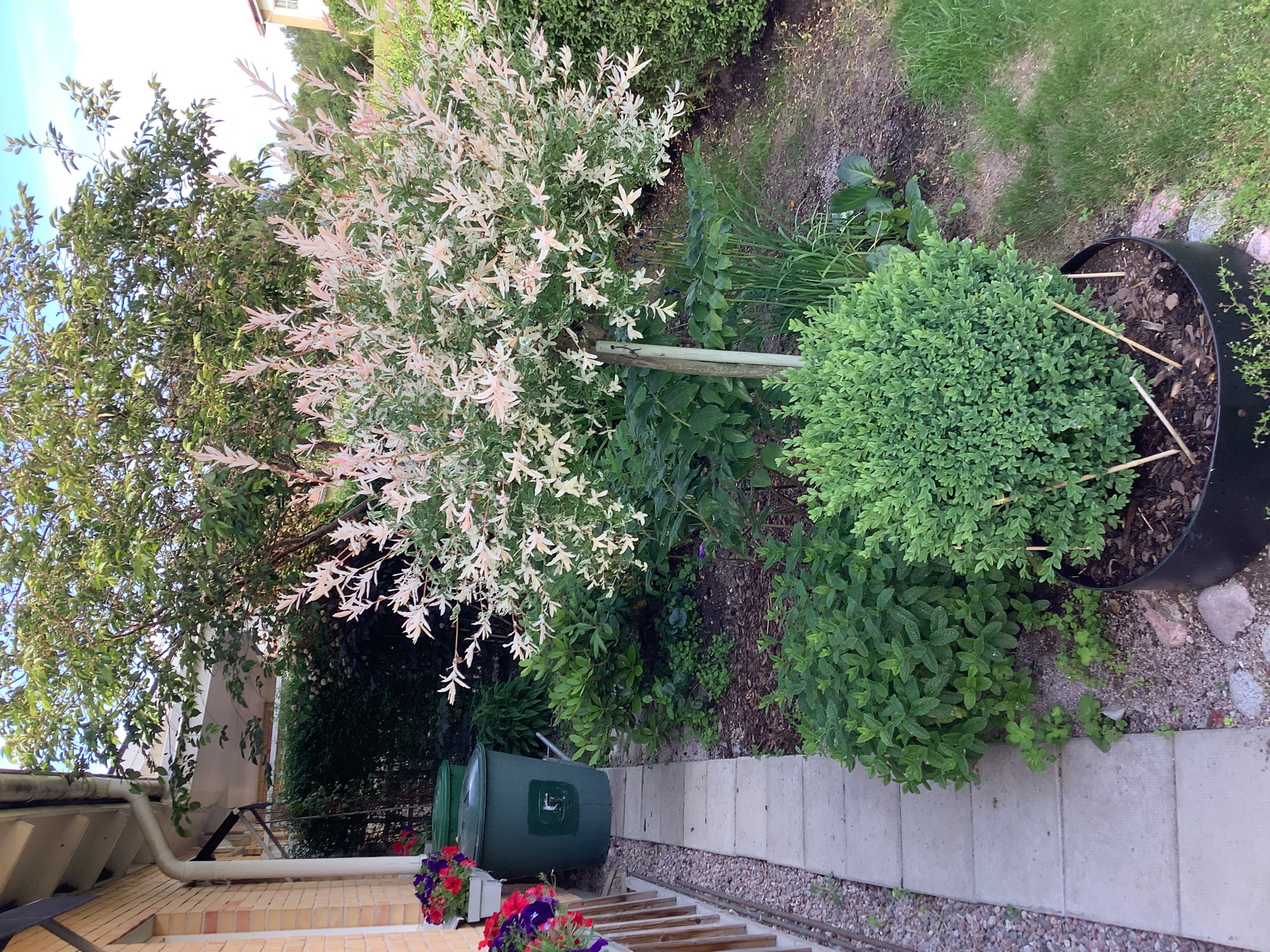 Bostadsbild från Otto Myrbergs väg 71, Kommande i Rickomberga, Uppsala