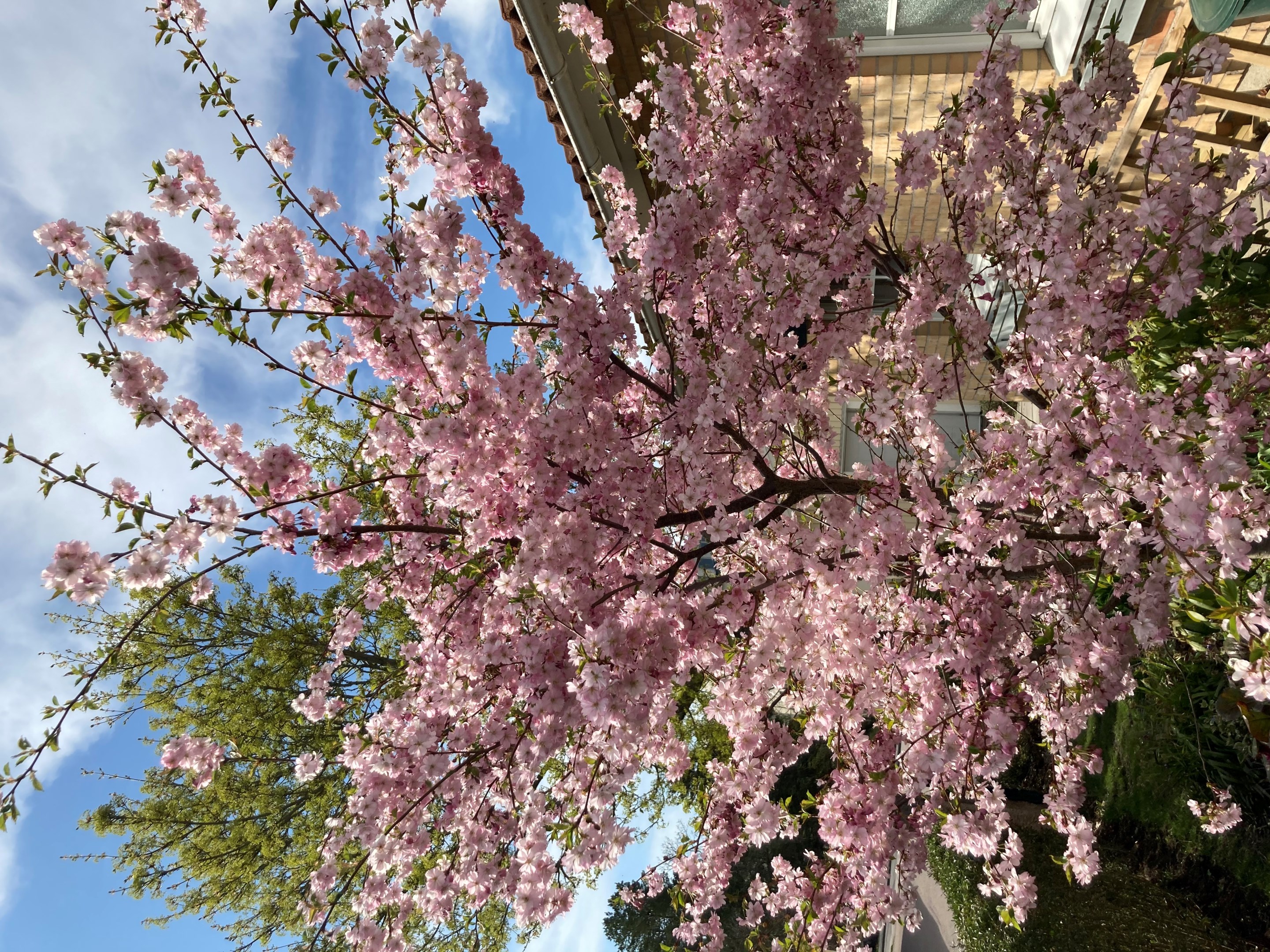Bostadsbild från Otto Myrbergs väg 71, Kommande i Rickomberga, Uppsala