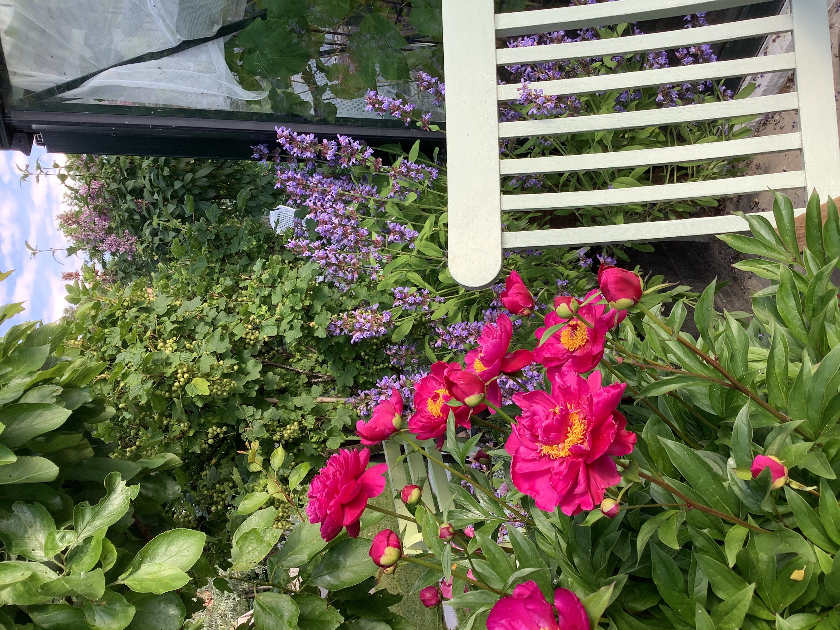 Bostadsbild från Otto Myrbergs väg 71, Kommande i Rickomberga, Uppsala