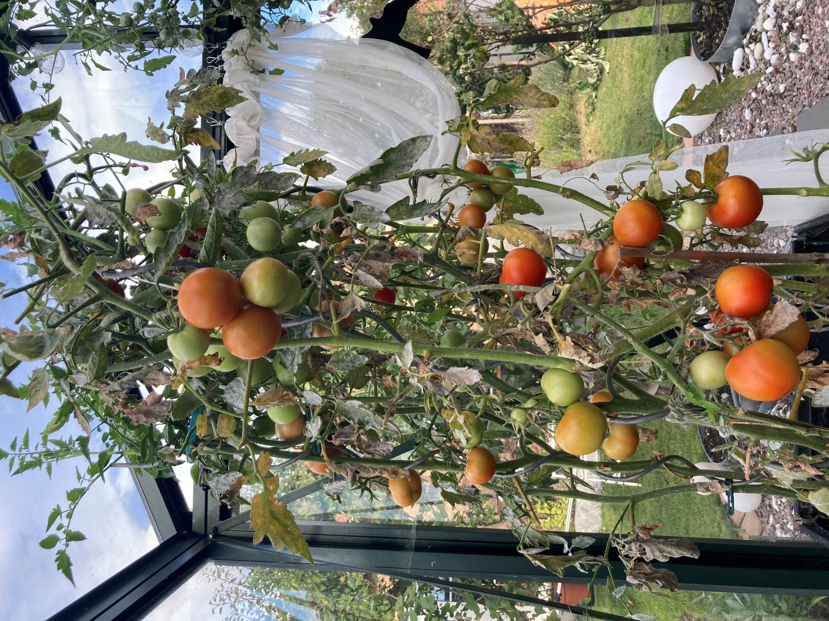 Bostadsbild från Otto Myrbergs väg 71, Kommande i Rickomberga, Uppsala