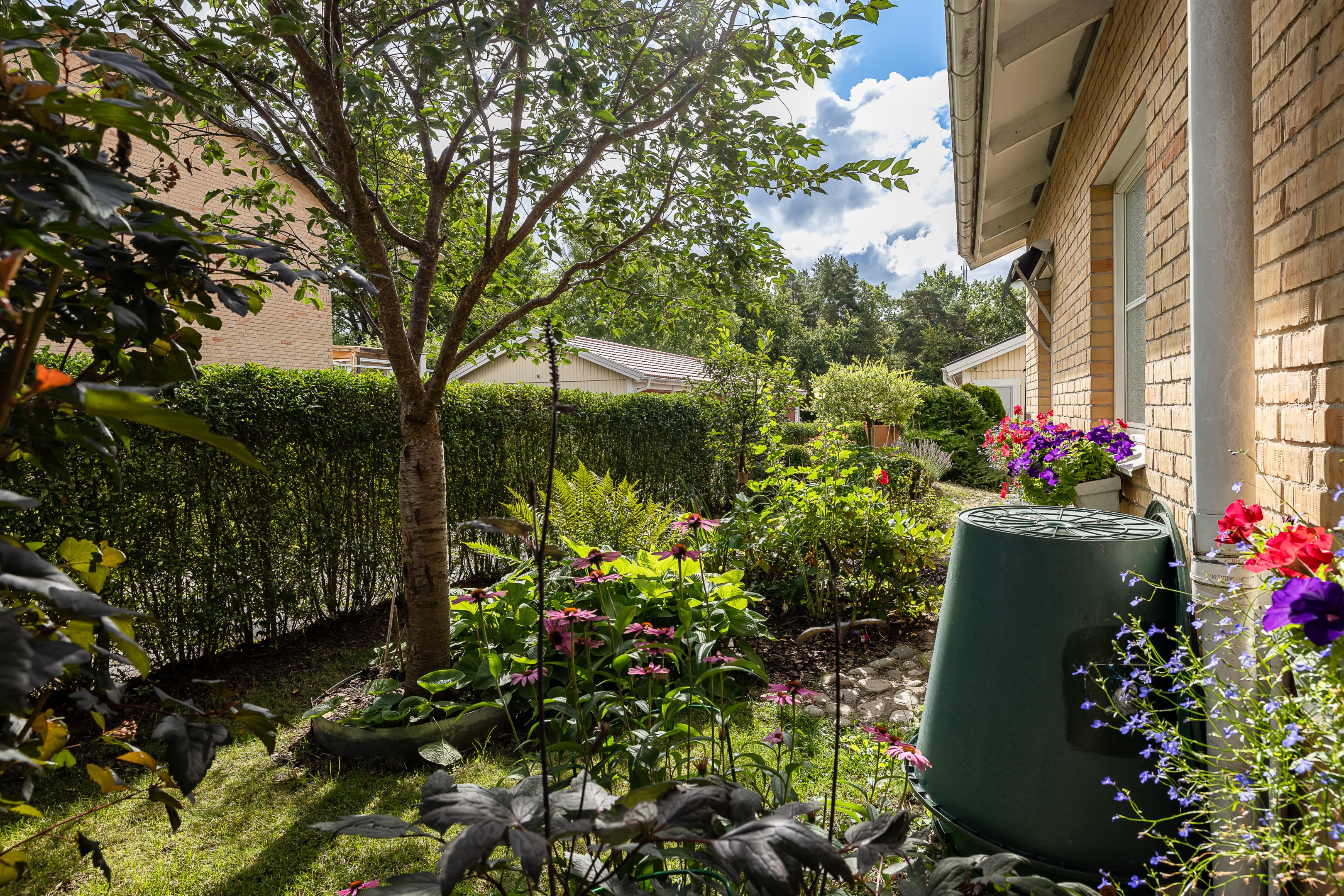 Bostadsbild från Otto Myrbergs väg 71, Kommande i Rickomberga, Uppsala