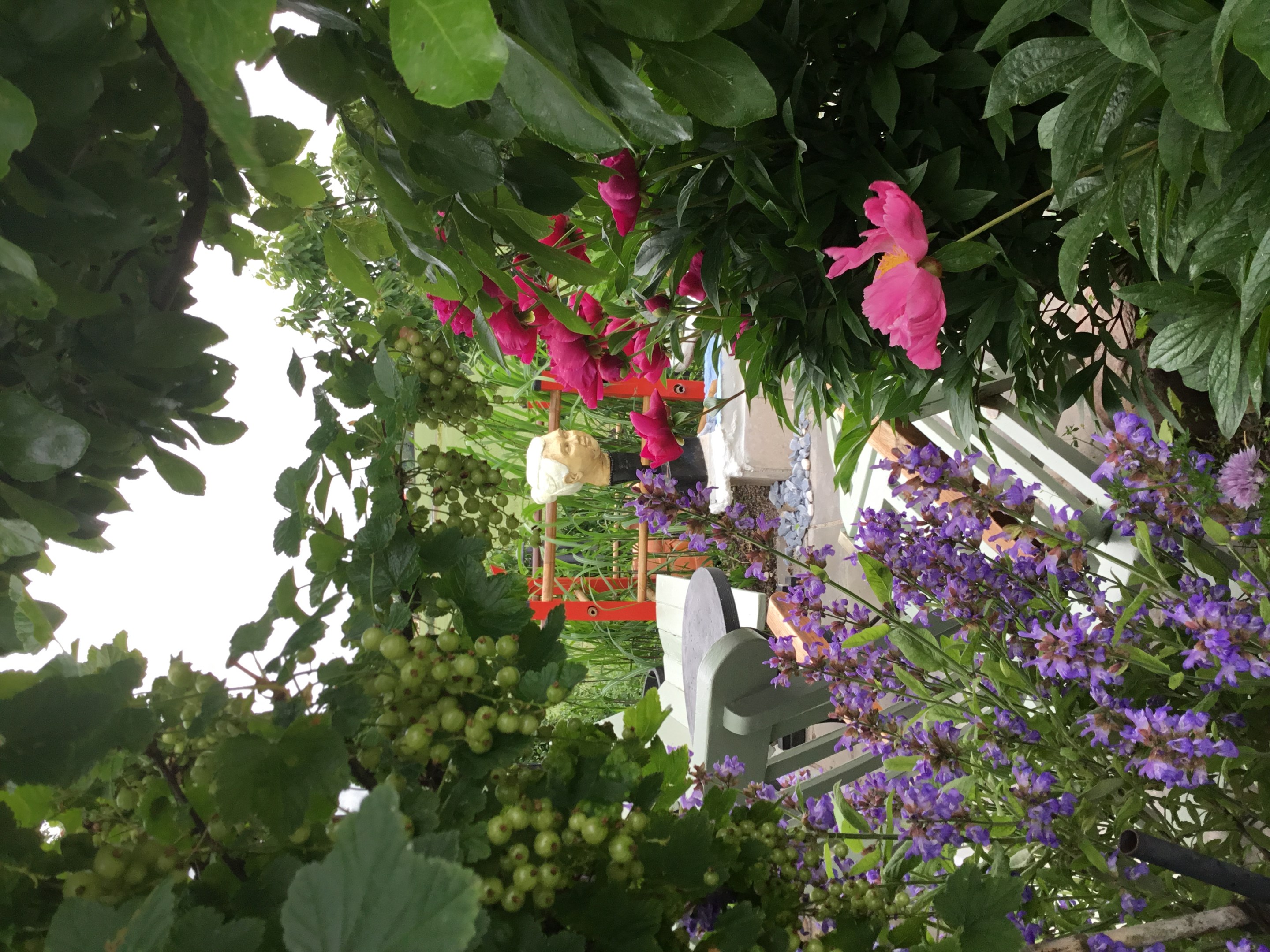 Bostadsbild från Otto Myrbergs väg 71, Kommande i Rickomberga, Uppsala