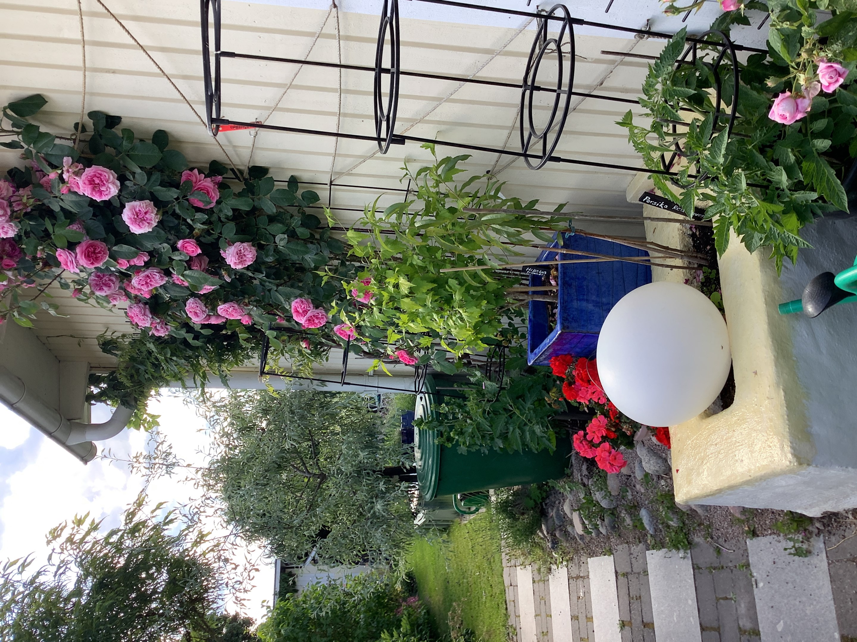 Bostadsbild från Otto Myrbergs väg 71, Kommande i Rickomberga, Uppsala