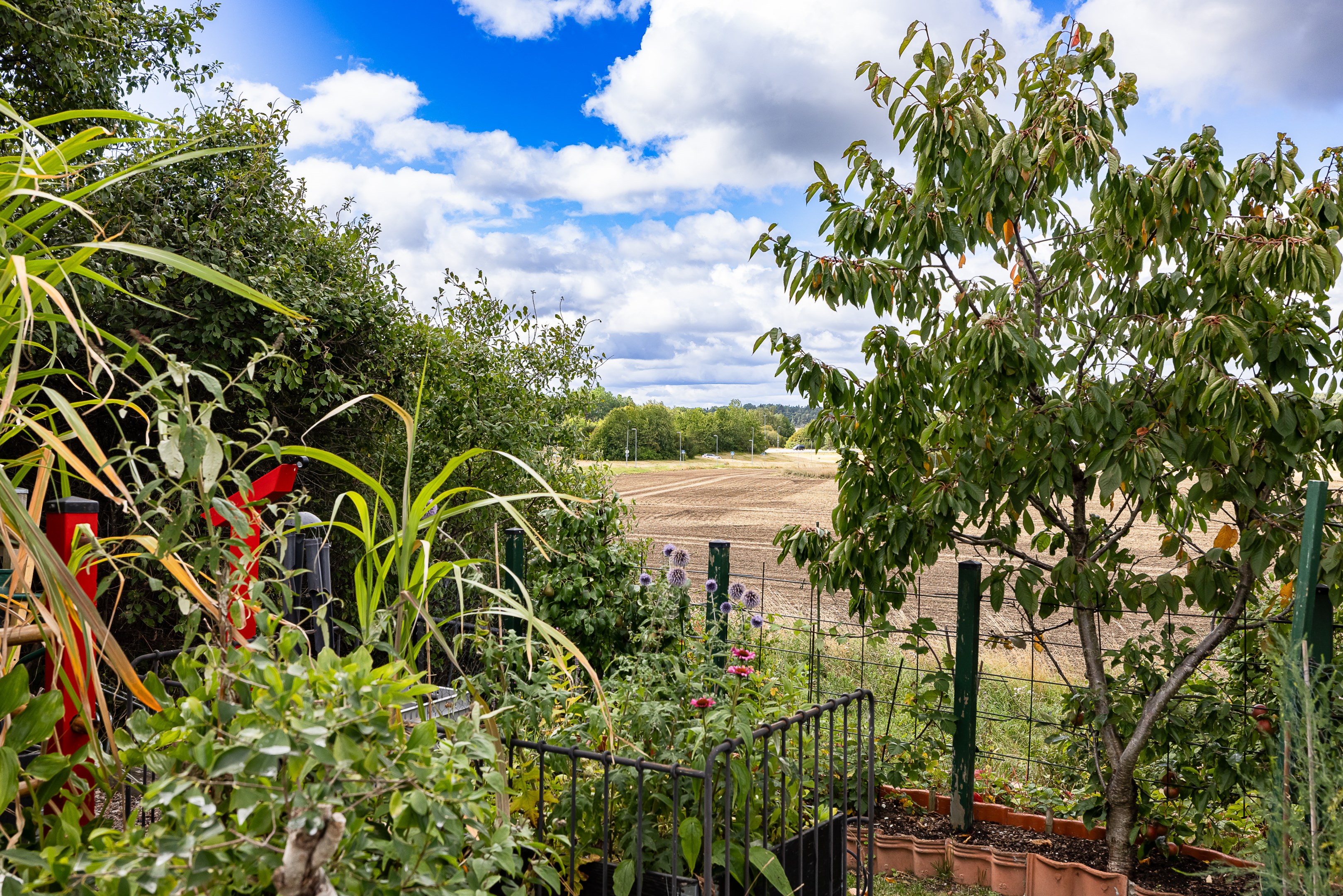 Bostadsbild från Otto Myrbergs väg 71, Kommande i Rickomberga, Uppsala