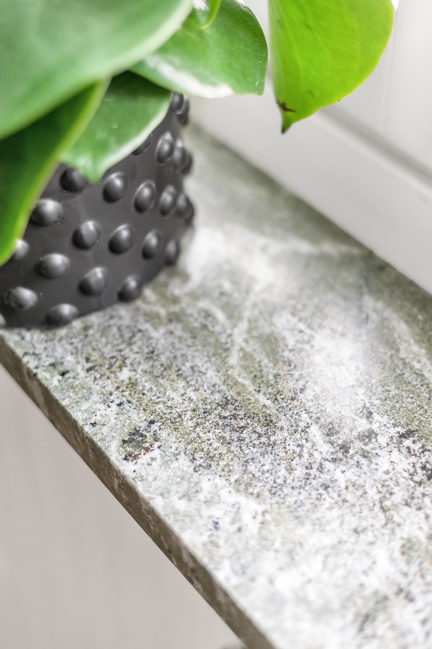 Bostadsbild från Kastanjegatan 5, Kommande i Salabacke, Uppsala