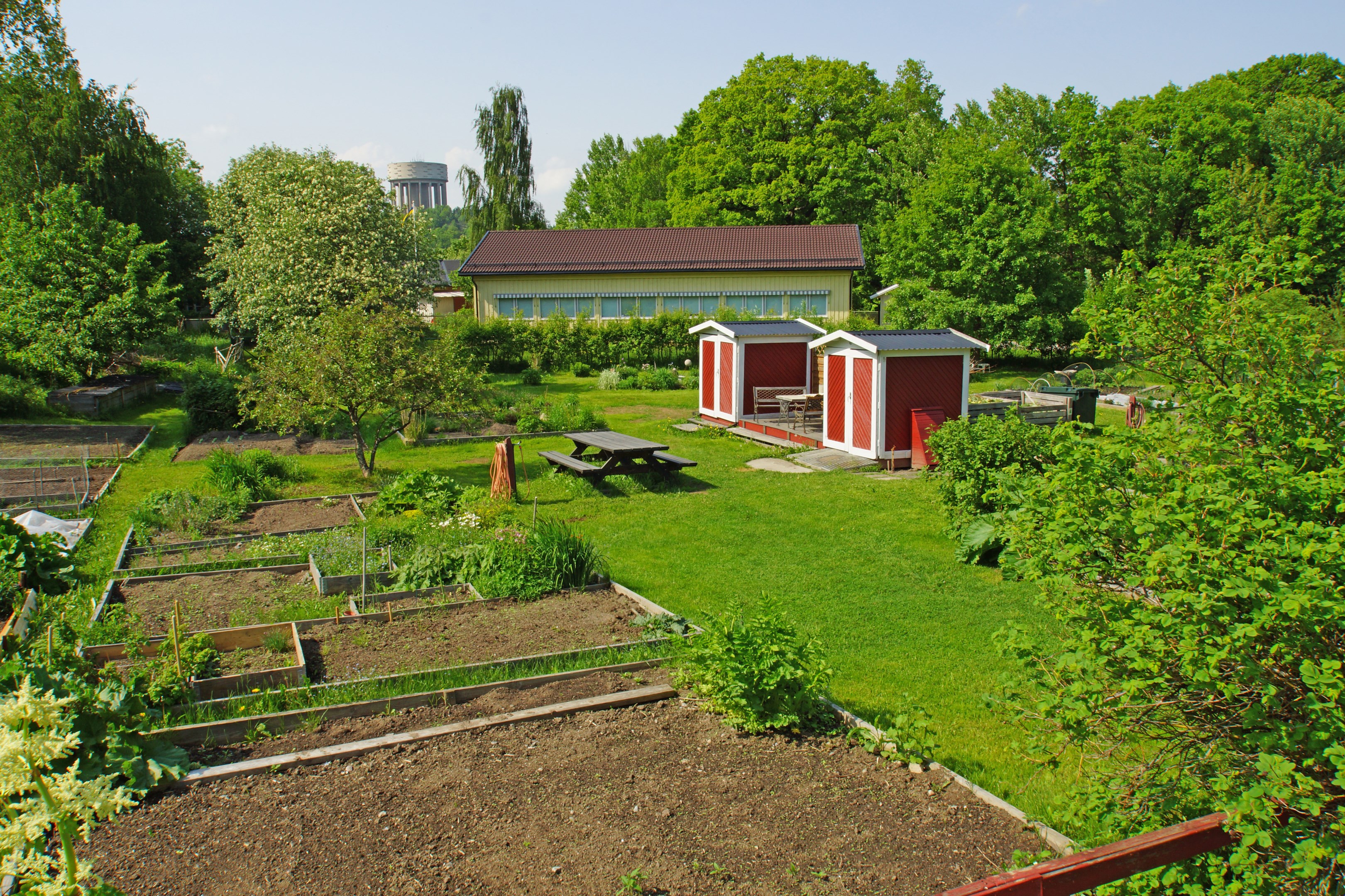 Trädgårdsodlingar att hyra