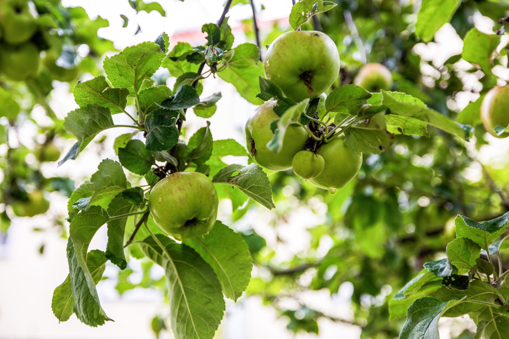 Bostadsbild från Västra järnvägsgatan 23A, Såld i Främre Svartbäcken, Uppsala