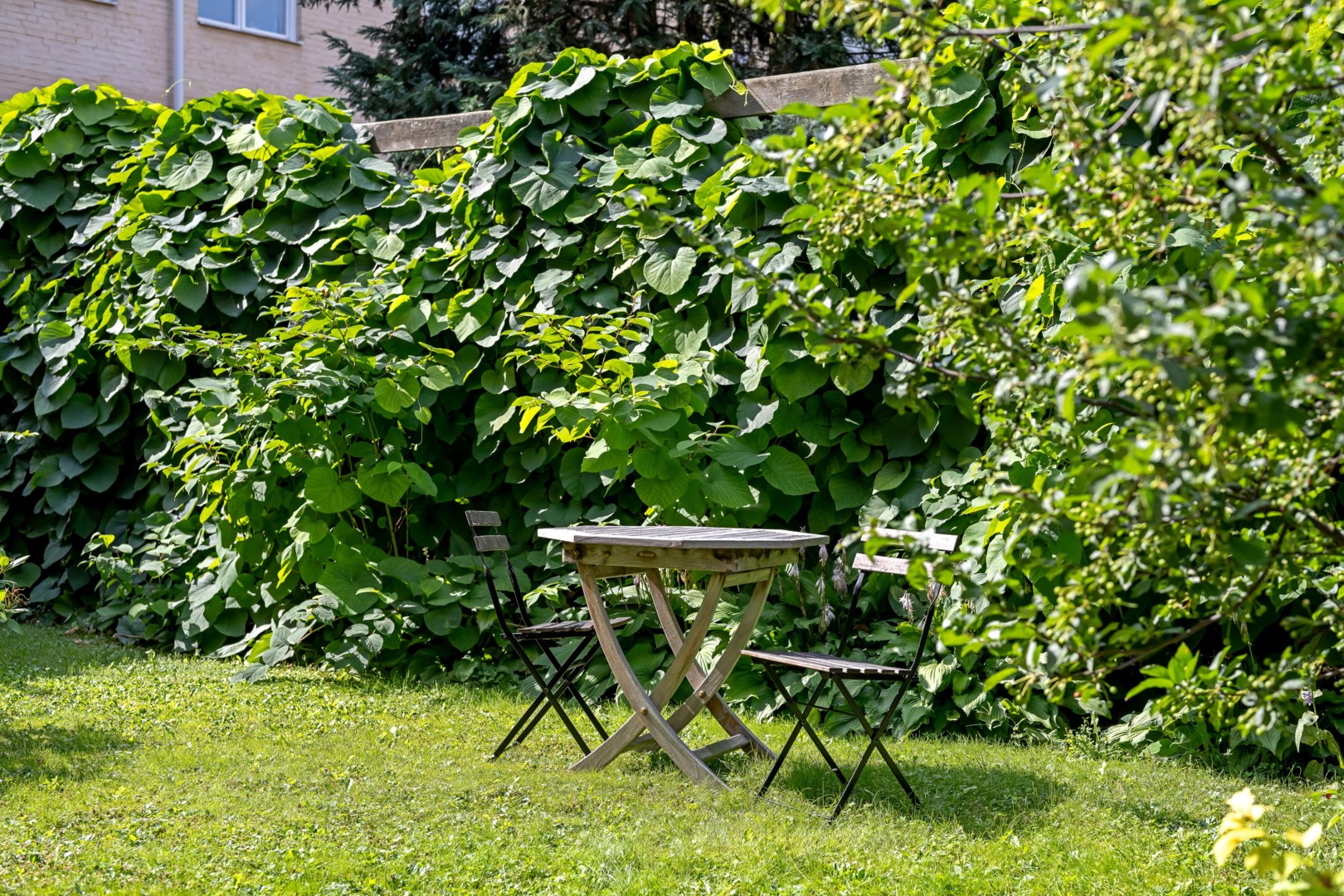 Bostadsbild från Munkgatan 5B, Såld i Centrum, Uppsala