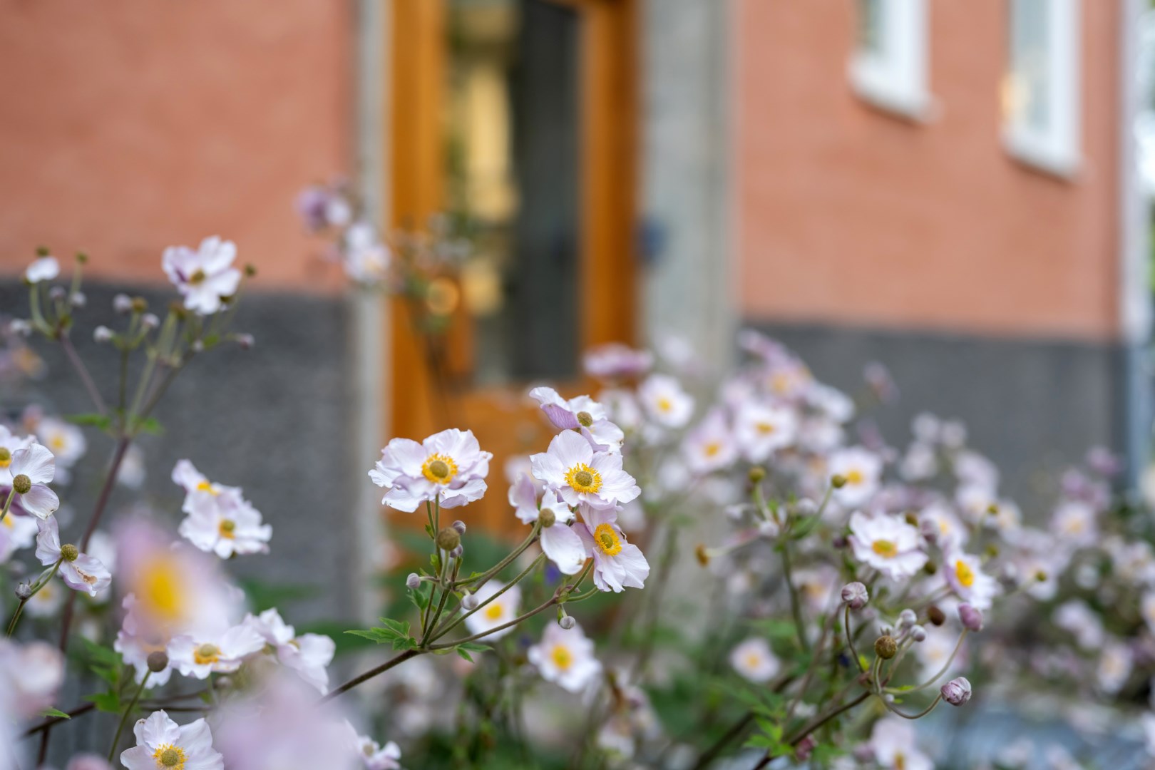 Bostadsbild från Munkgatan 5B, Såld i Centrum, Uppsala