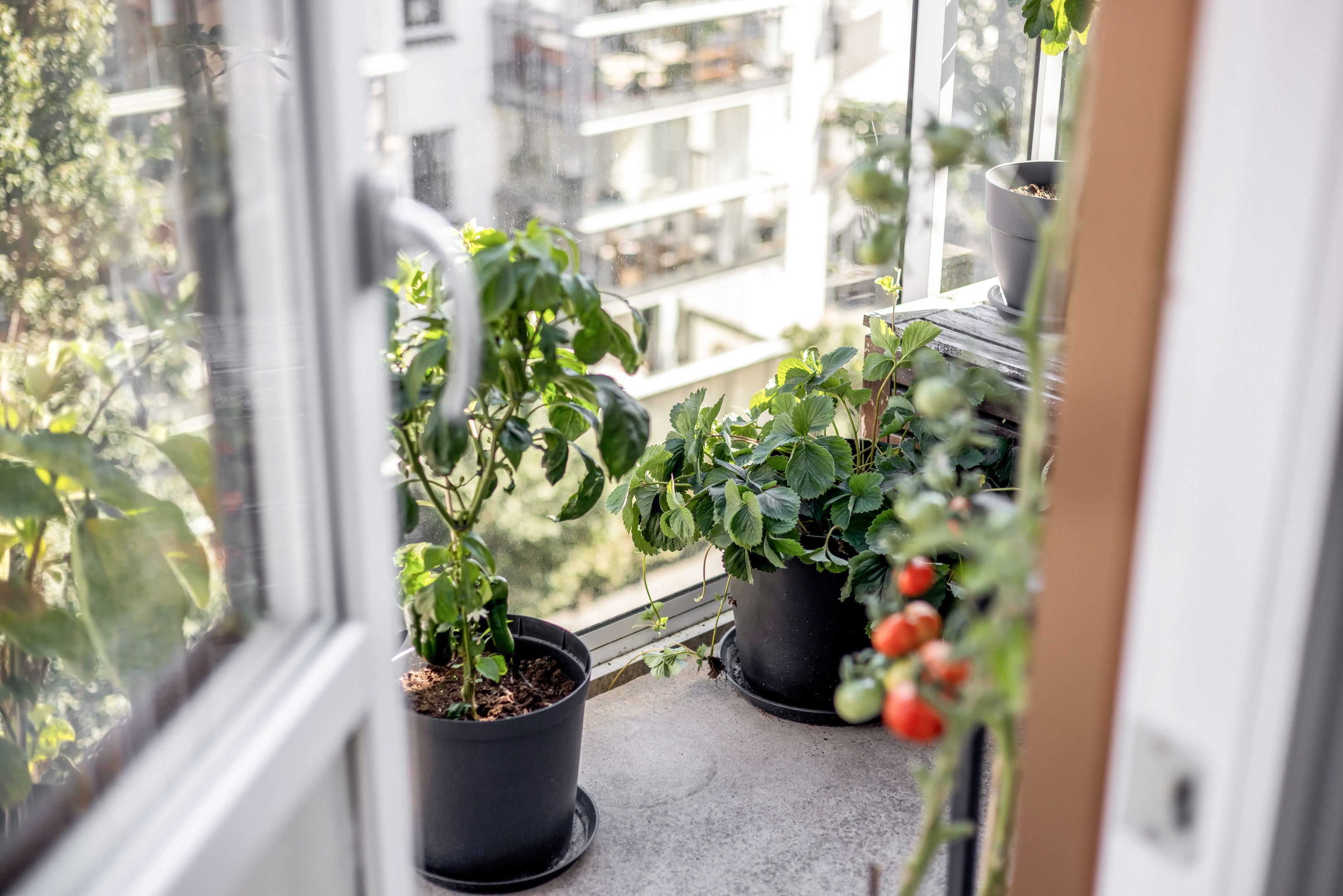 Bostadsbild från Torngatan 1, Såld i Kapellgärdet, Uppsala