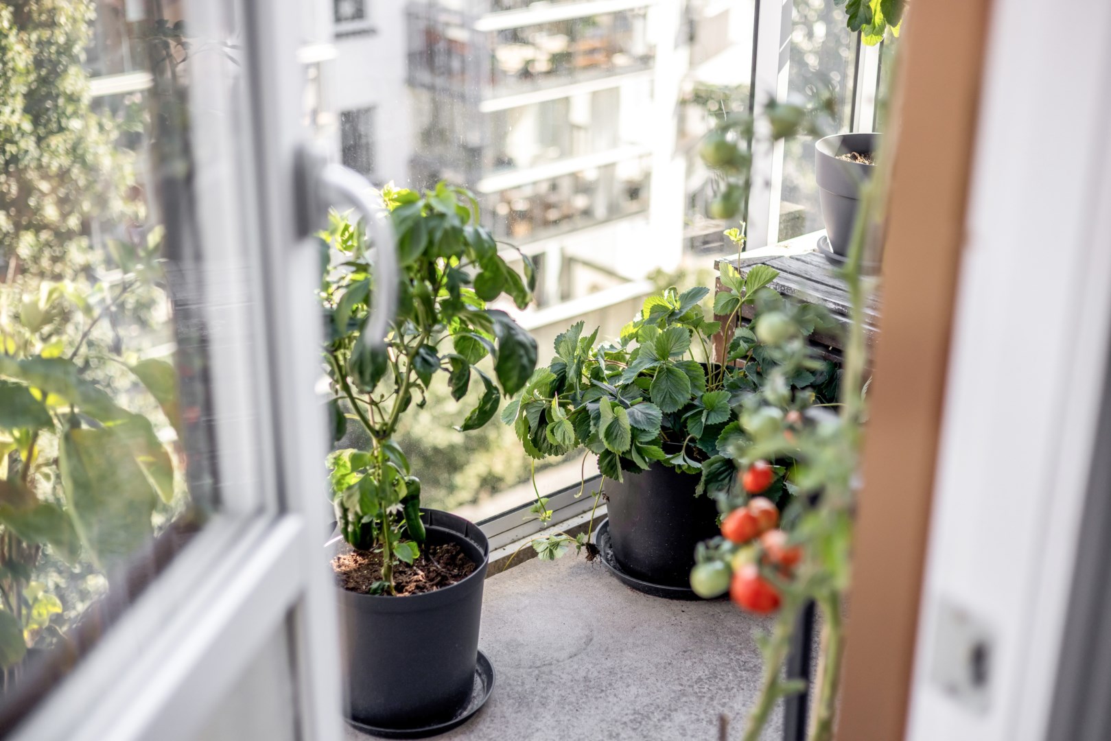 Bostadsbild från Torngatan 1, Såld i Kapellgärdet, Uppsala