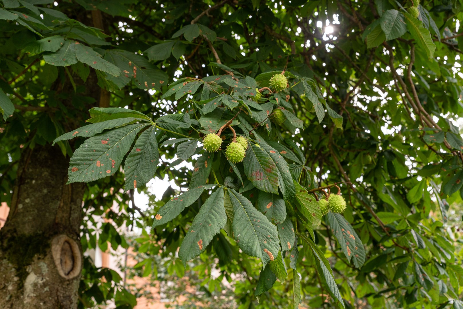 Bostadsbild från Gunnilbogatan 18E, Kommande i Malmaberg, Västerås