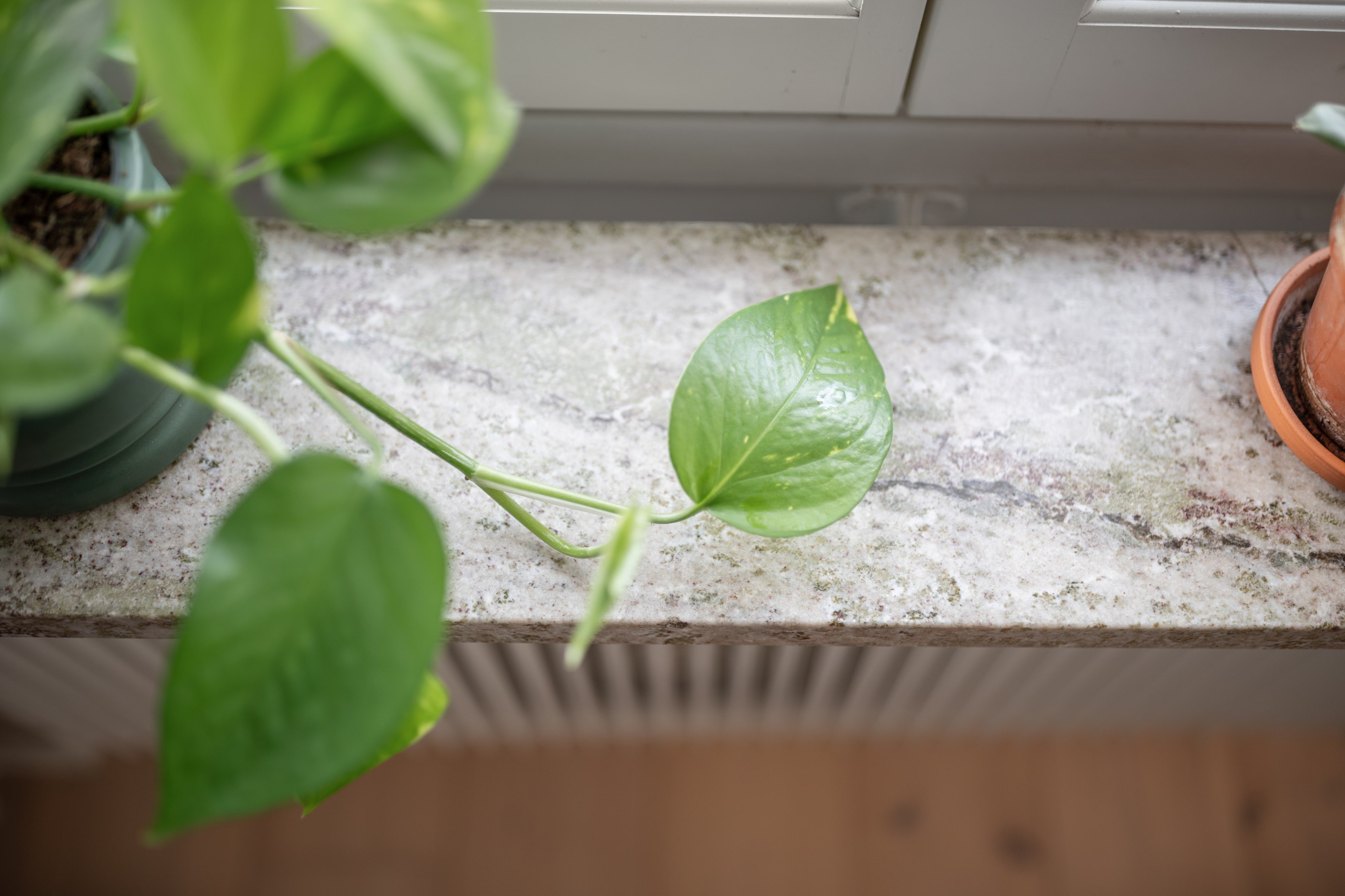 Bostadsbild från S:t Olofsgatan 64B, Såld i Höganäs, Uppsala