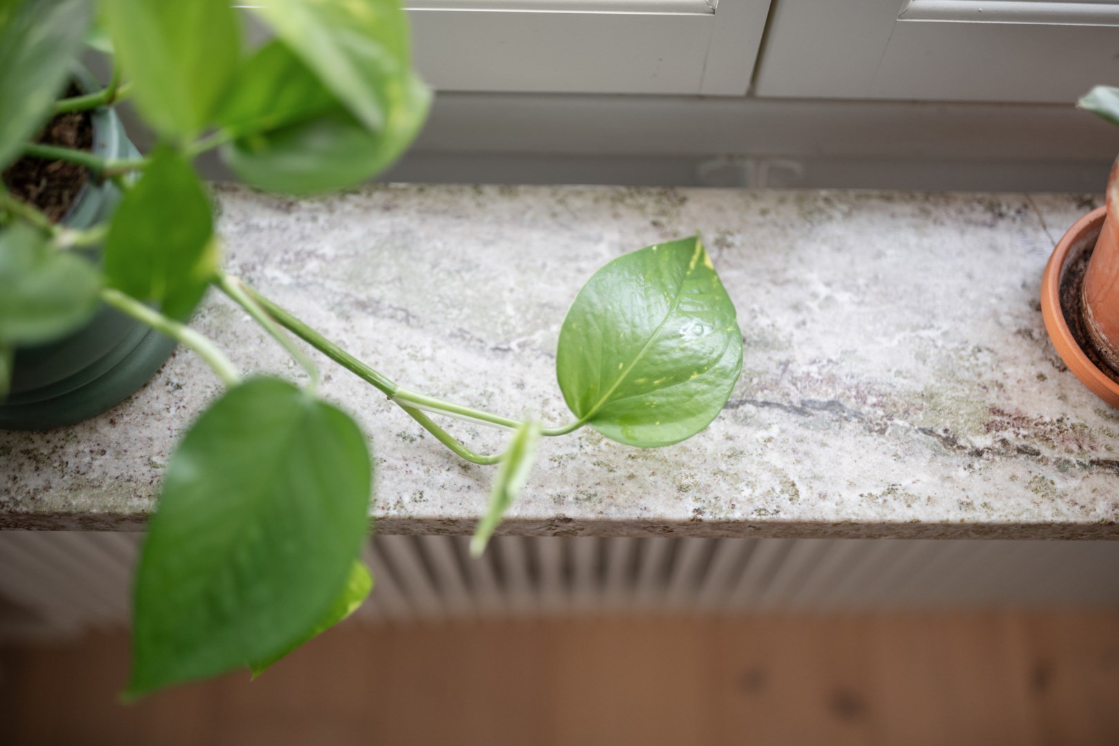 Bostadsbild från S:t Olofsgatan 64B, Såld i Höganäs, Uppsala