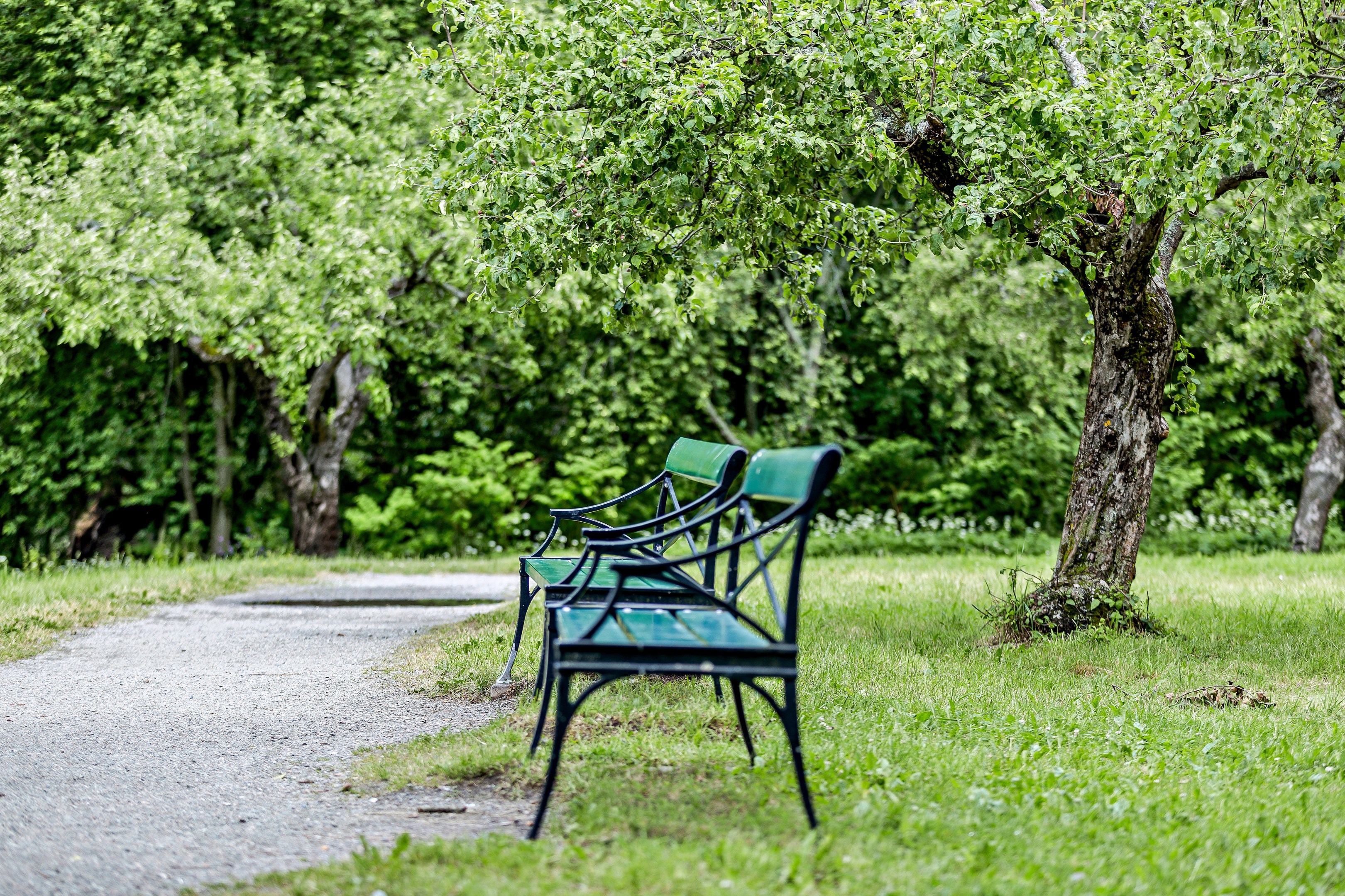 Vandringsstråken kring Mälaren