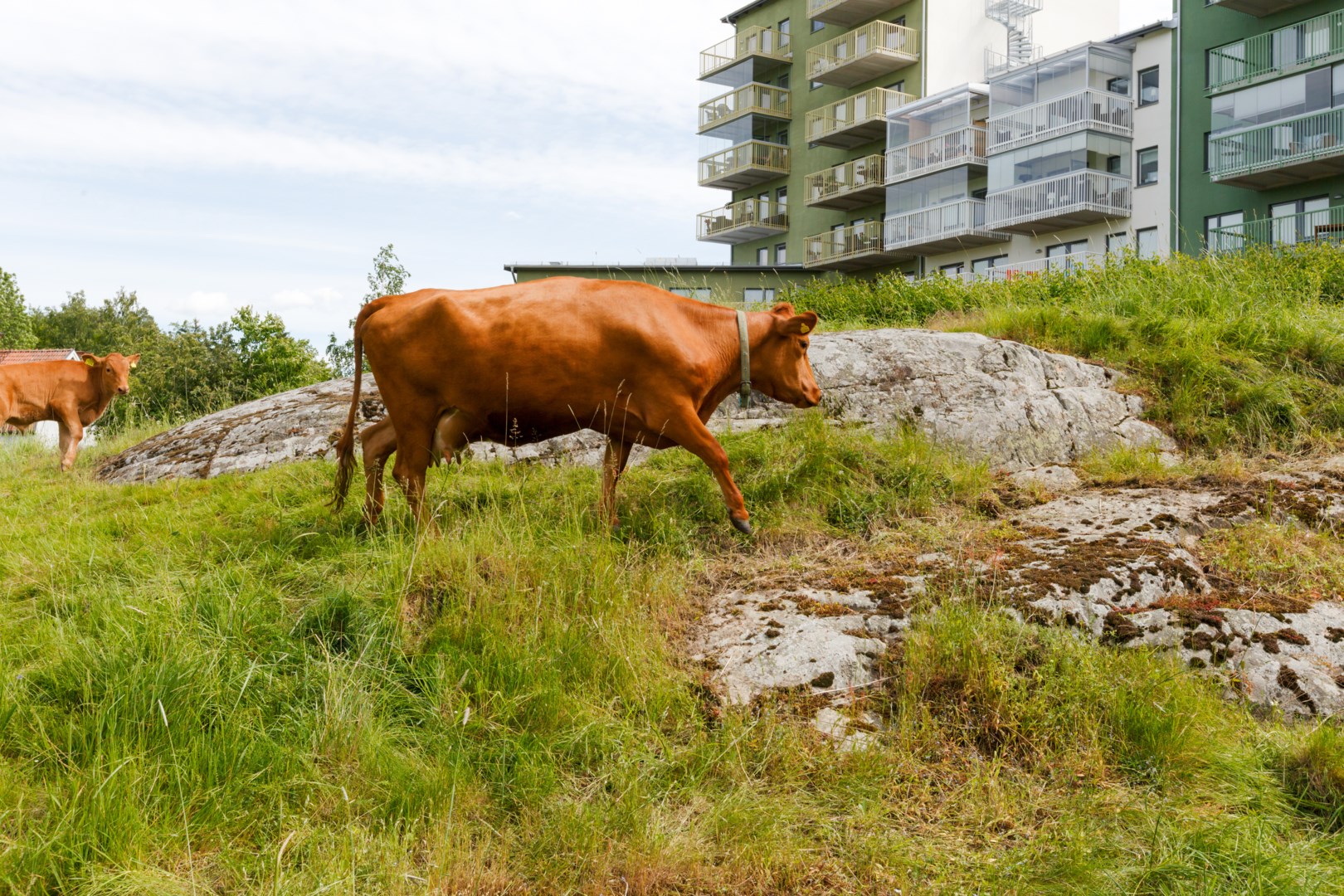 Bostadsbild från Solskensgatan 7, Kommande i Gränby, Uppsala