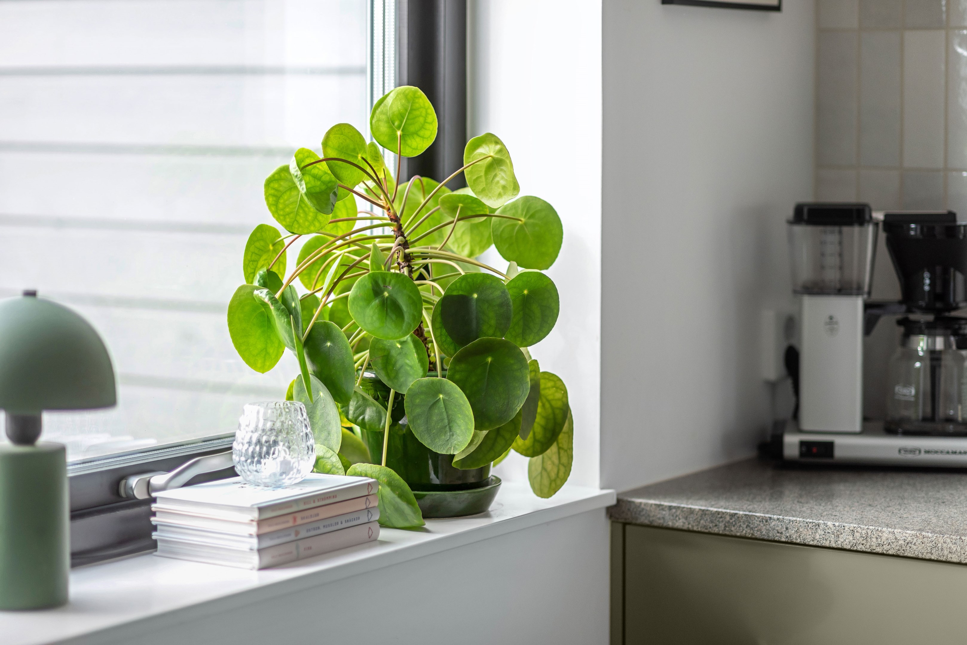 Bostadsbild från Vitmossvägen 223, Kommande i Lindbacken, Uppsala