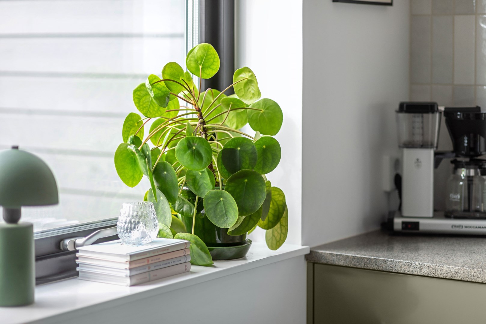 Bostadsbild från Vitmossvägen 223, Kommande i Lindbacken, Uppsala