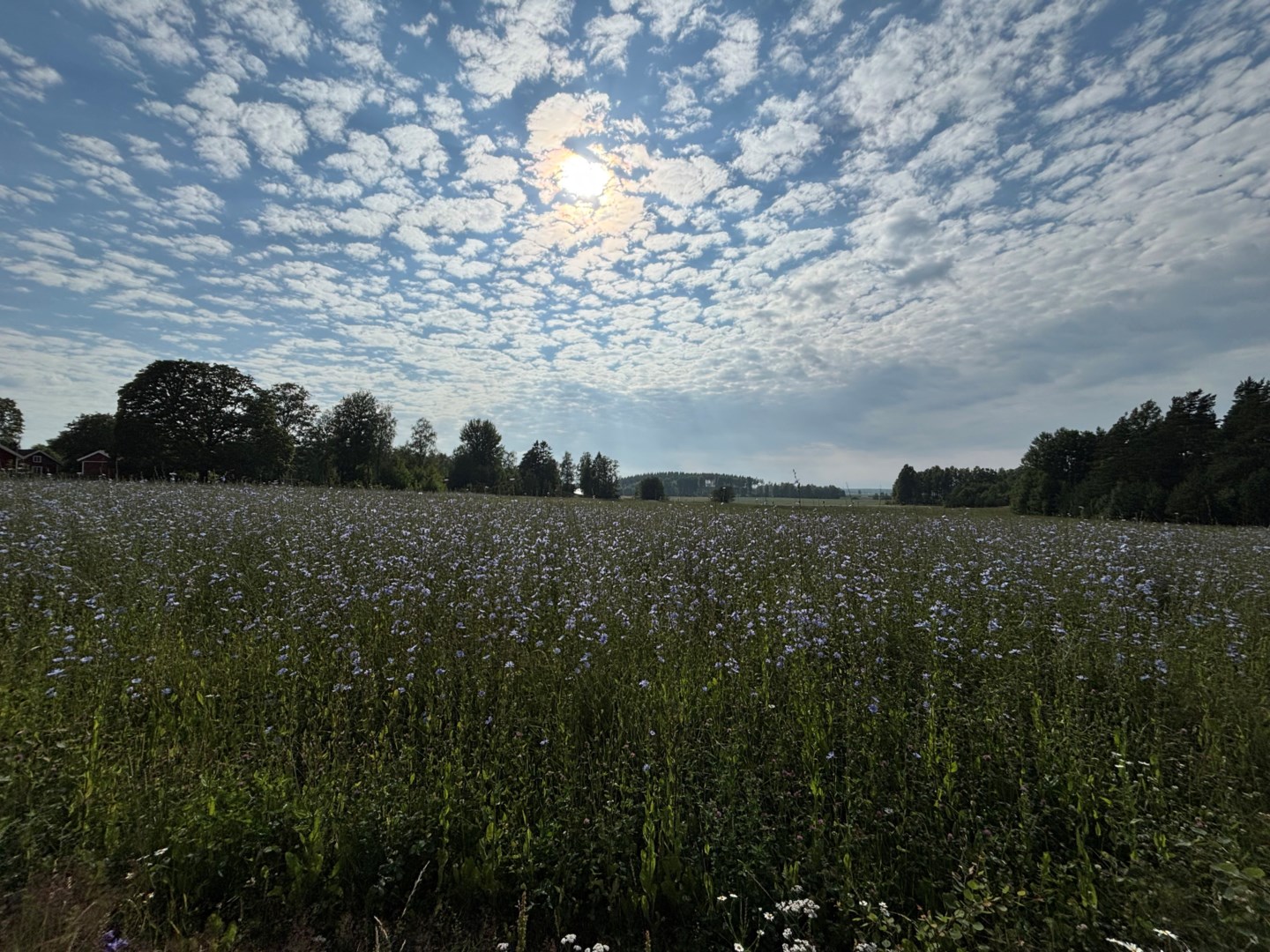 Bostadsbild från Juvansbo 39 A, Kommande i Björklinge, Uppsala
