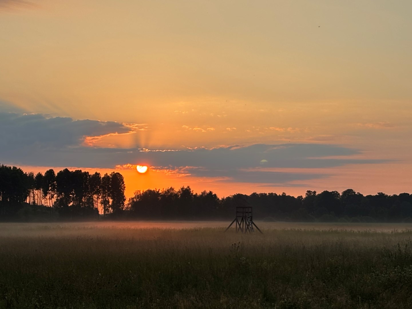 Bostadsbild från Juvansbo 39 A, Kommande i Björklinge, Uppsala