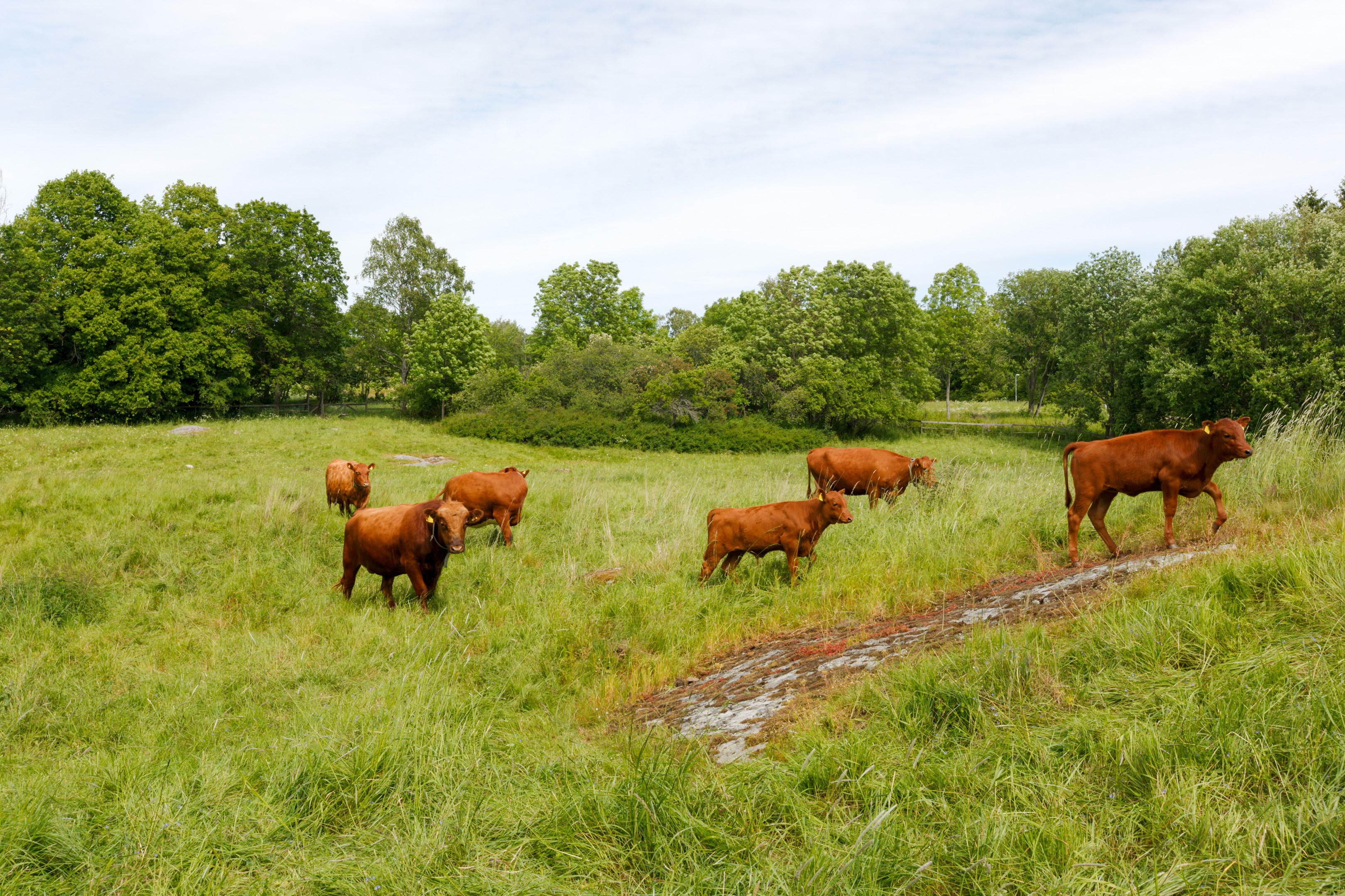 Bostadsbild från Viktor Rydbergsgatan 40, Såld i Nyby, Uppsala