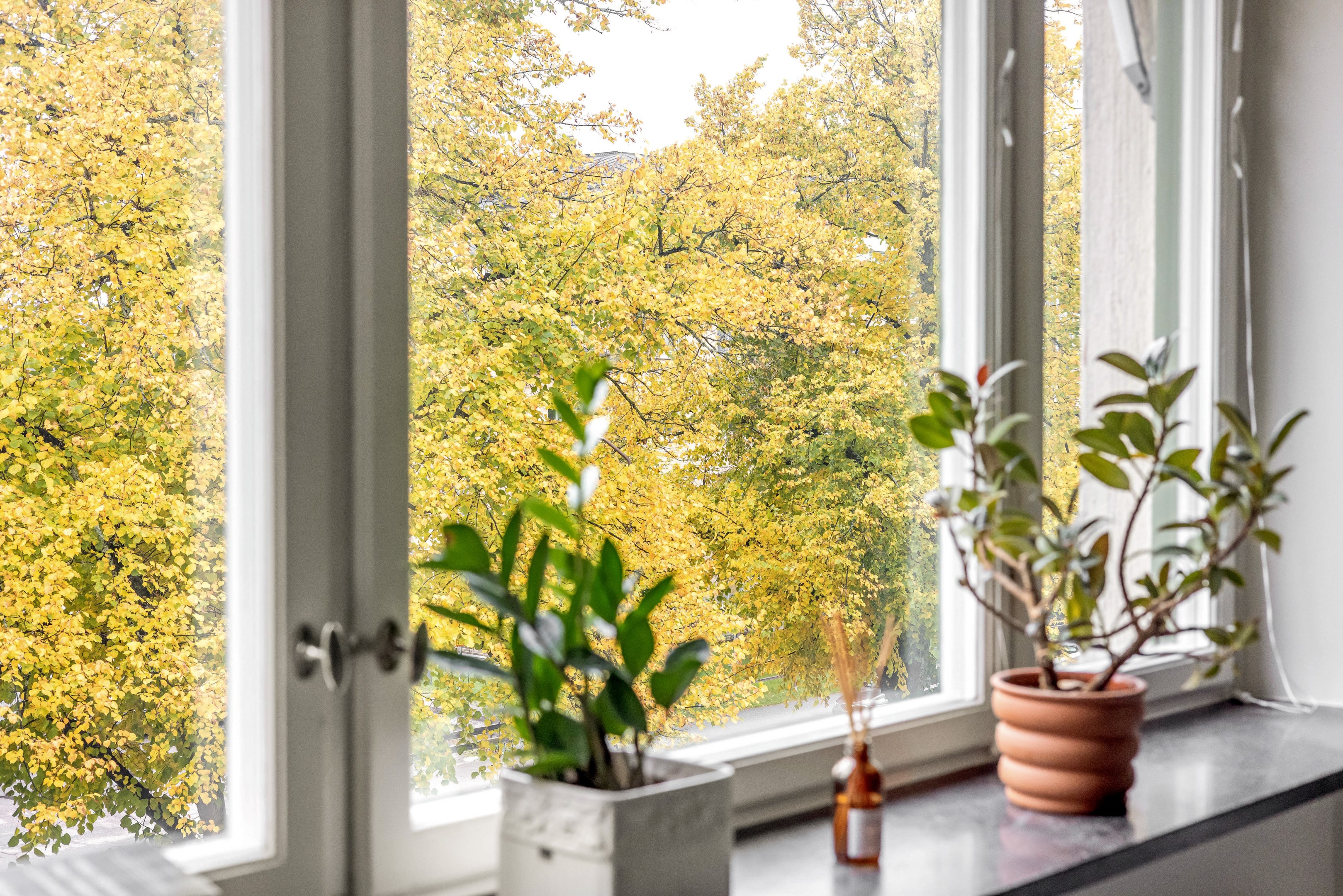 Bostadsbild från Botvidsgatan 6B, Snart till salu i Höganäs, Uppsala