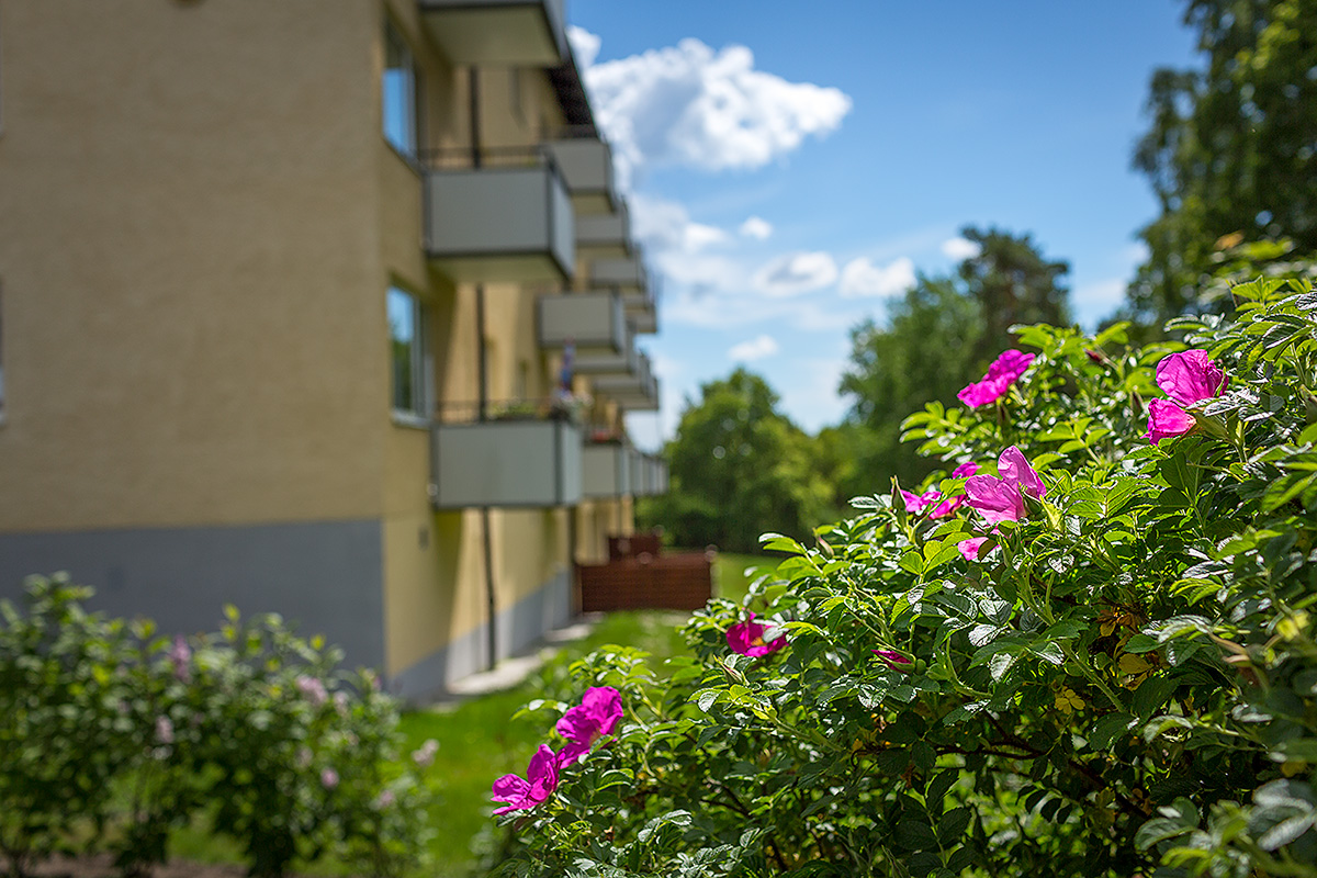 Bostadsbild från Tullingebergsvägen 2B, Kommande i G:a Tullingeberg, Botkyrka