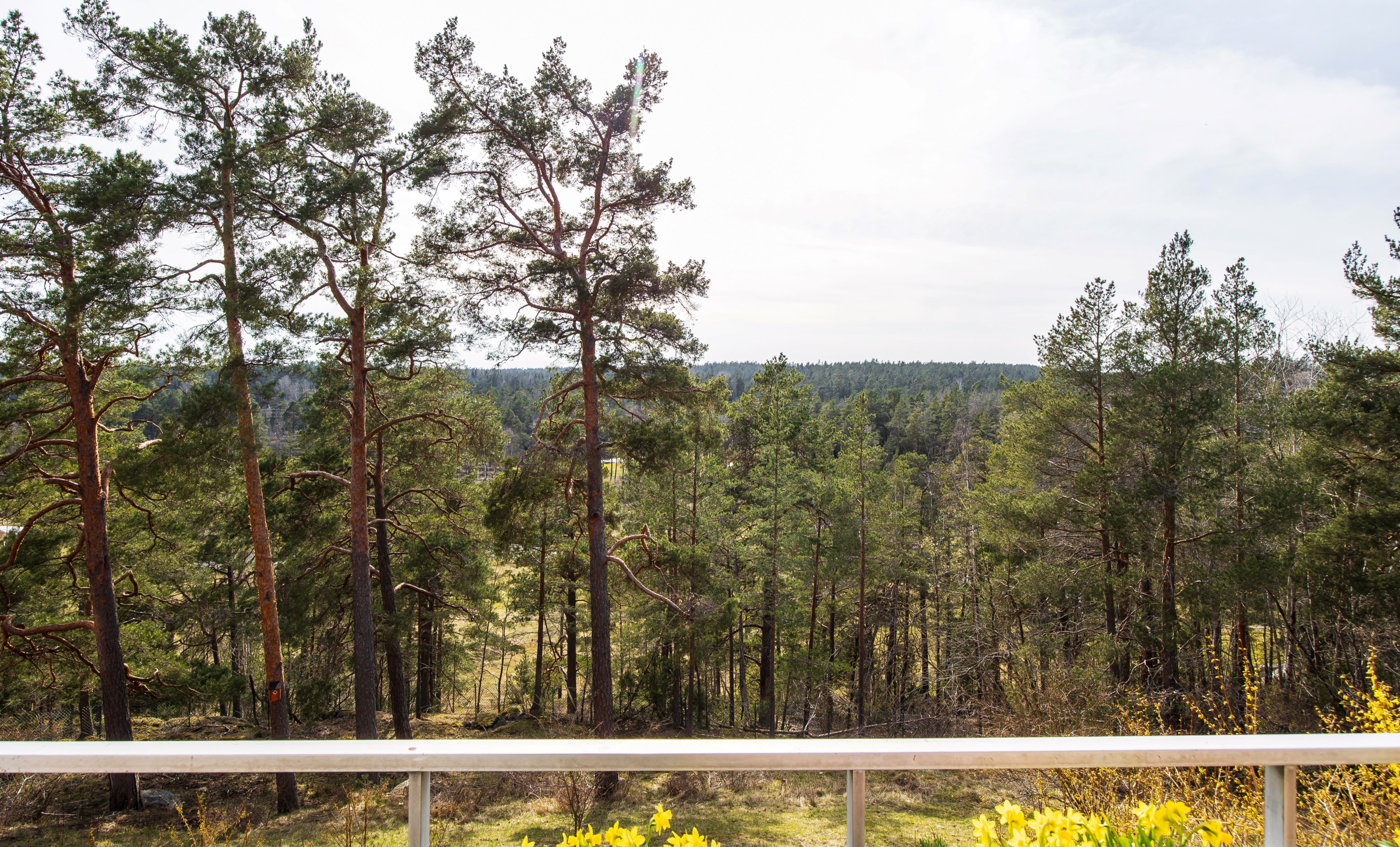 Bostadsbild från Ljuskärrsvägen 92, Kommande i Ljuskärrsberget - Saltsjöbaden, Nacka