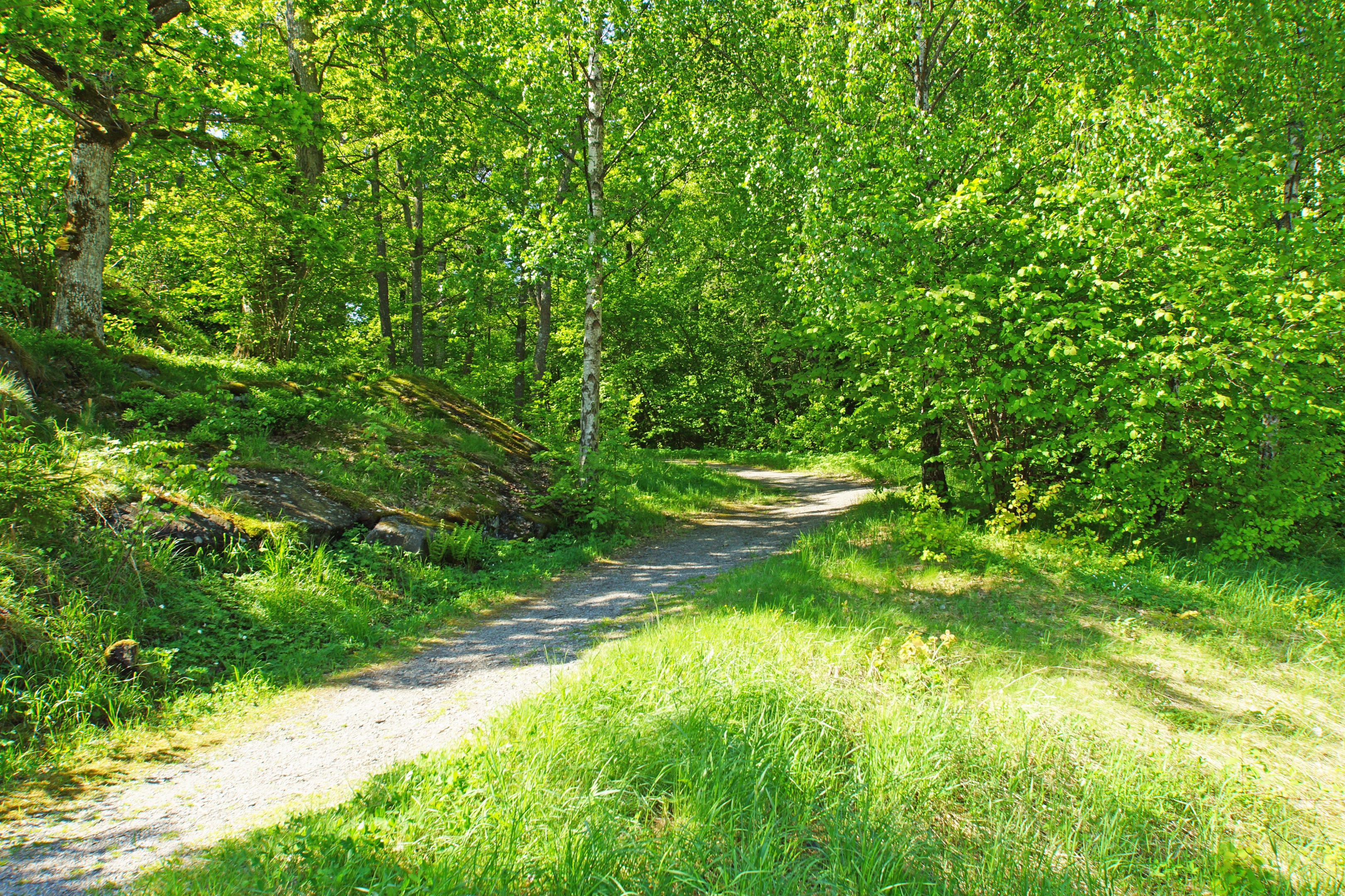 Nära till motionsspår