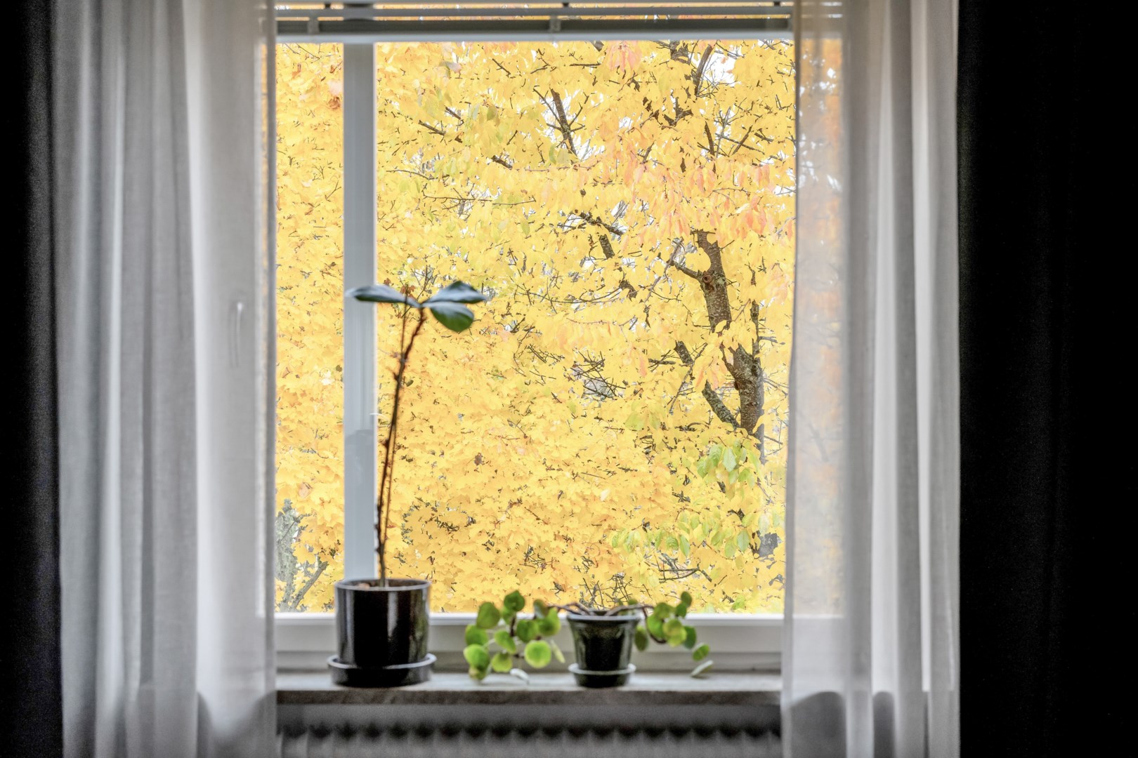 Bostadsbild från Byggmästargatan 8A, Kommande i Salabacke, Uppsala