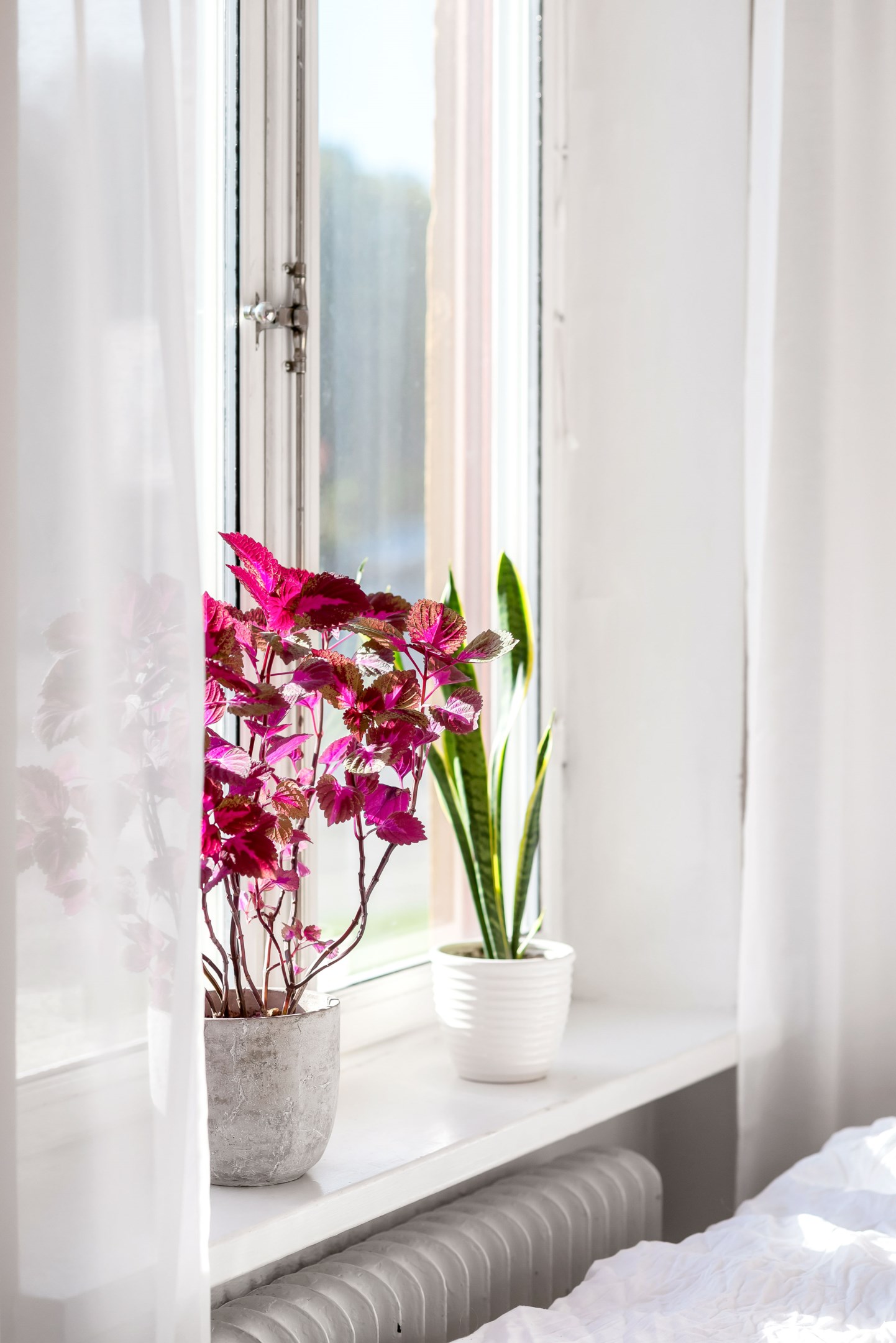 Bostadsbild från Väderkvarnsgatan 54B, Kommande i Fålhagen, Uppsala