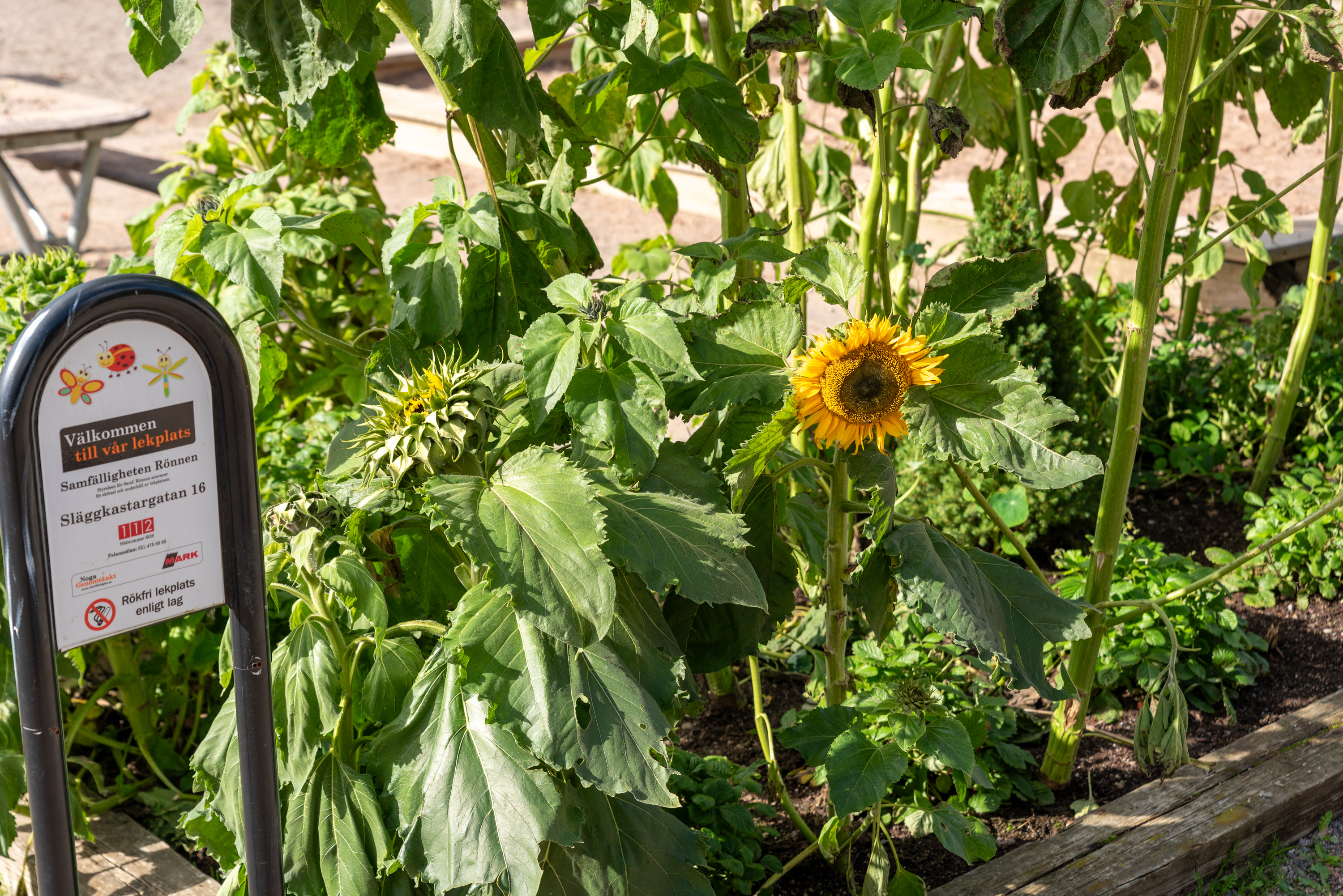 Bostadsbild från Släggkastargatan 11, Såld i Rönnby, Västerås