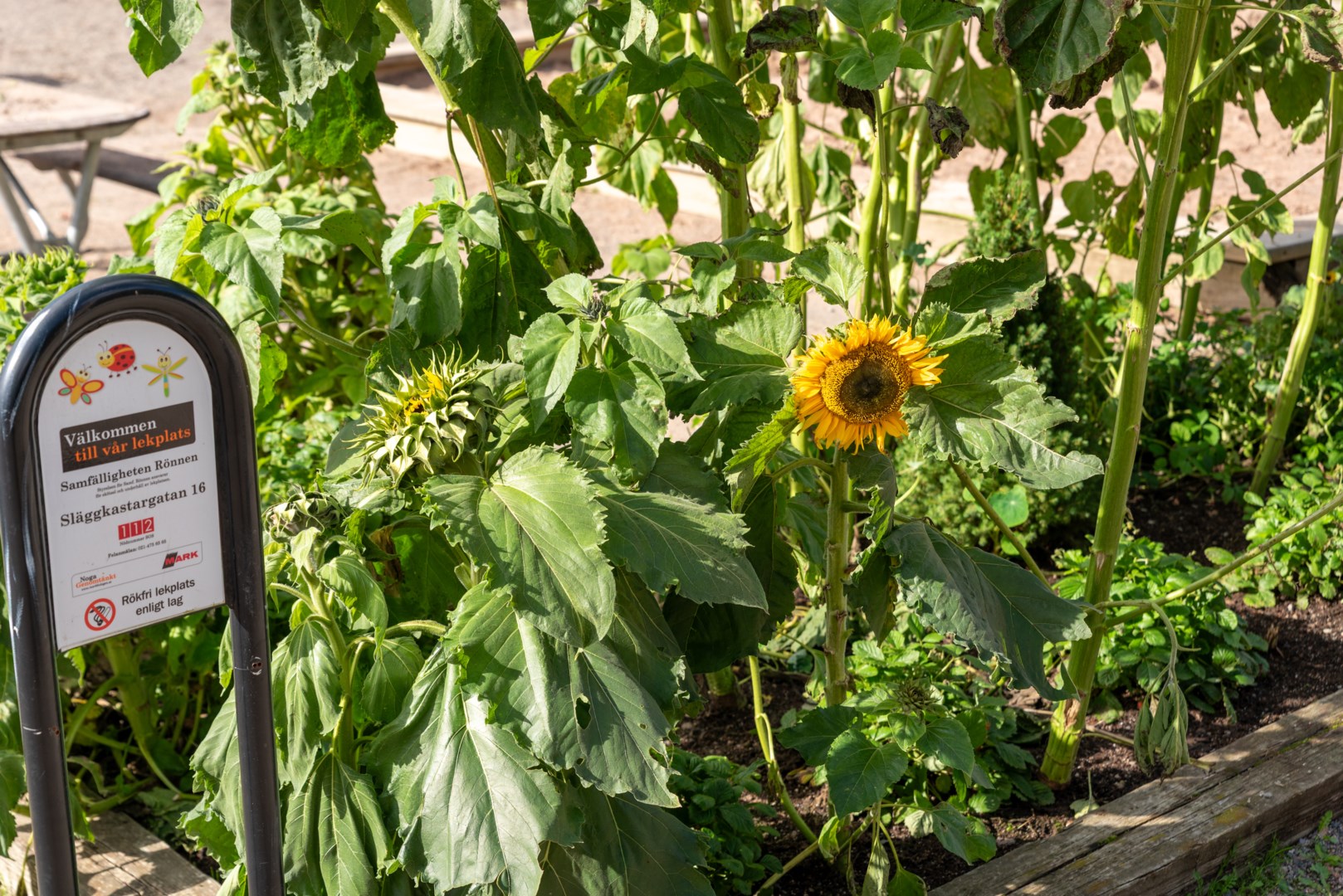 Bostadsbild från Släggkastargatan 11, Såld i Rönnby, Västerås