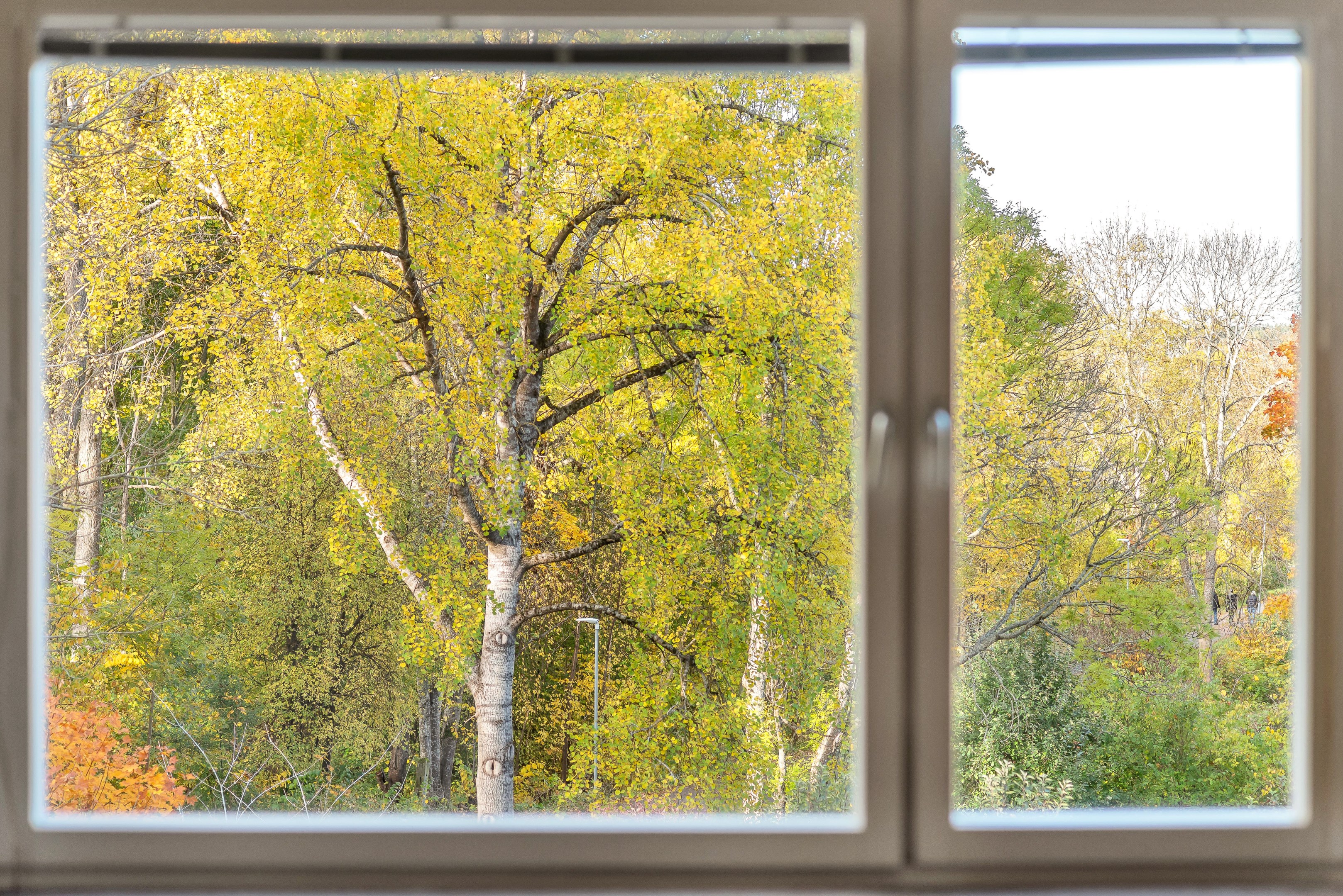 Bostadsbild från Tiundagatan 45, Såld i Luthagen, Uppsala