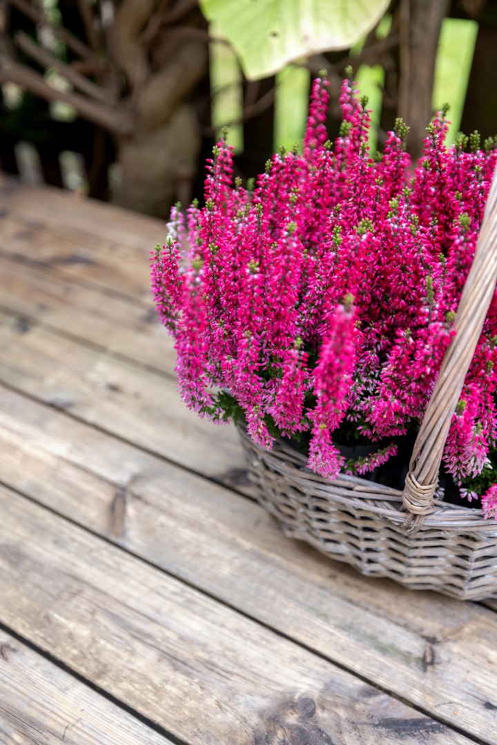 Bostadsbild från Lidnersgatan 32, Till salu i Nyby, Uppsala